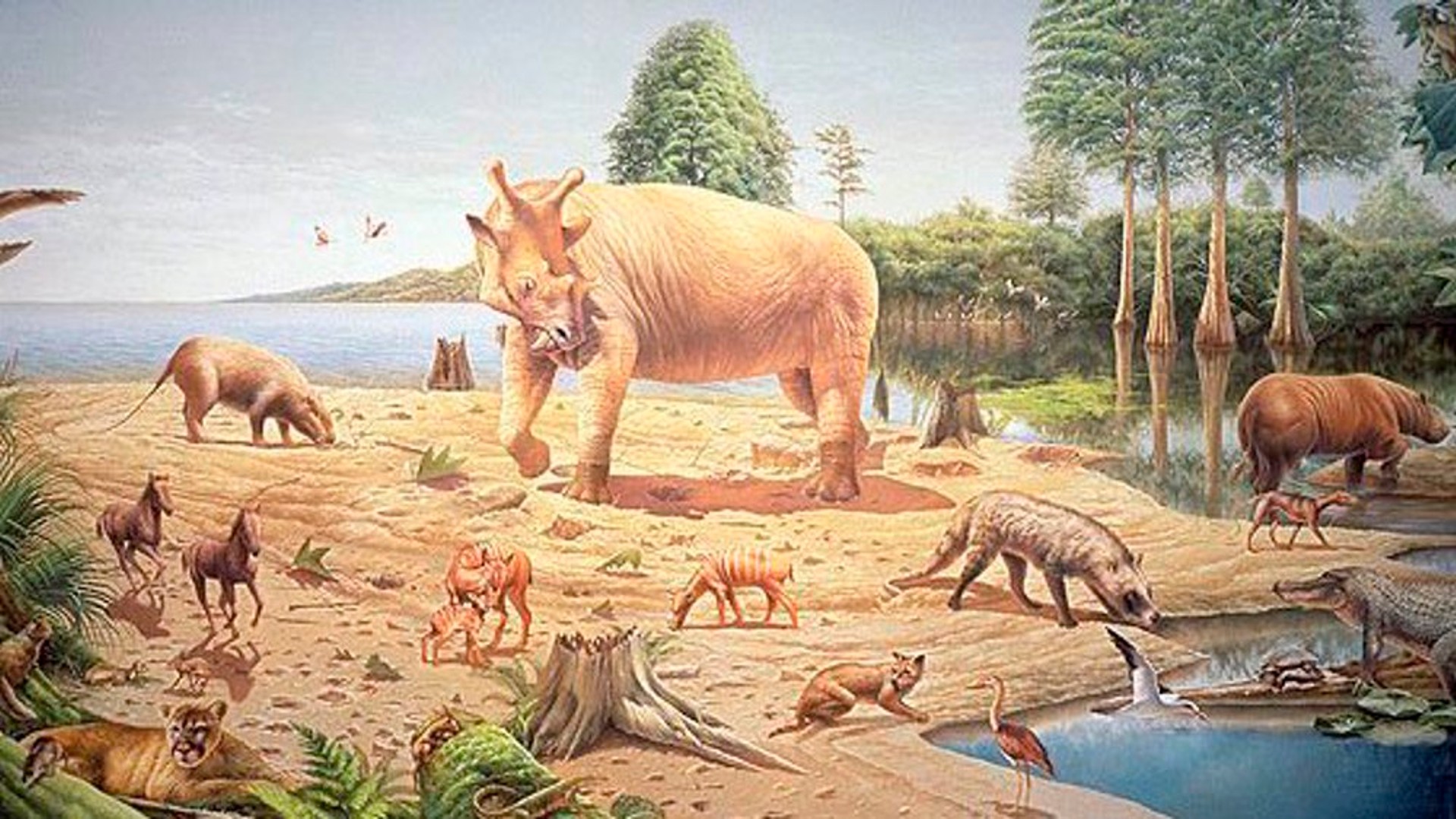 Maragheh Fossil Region