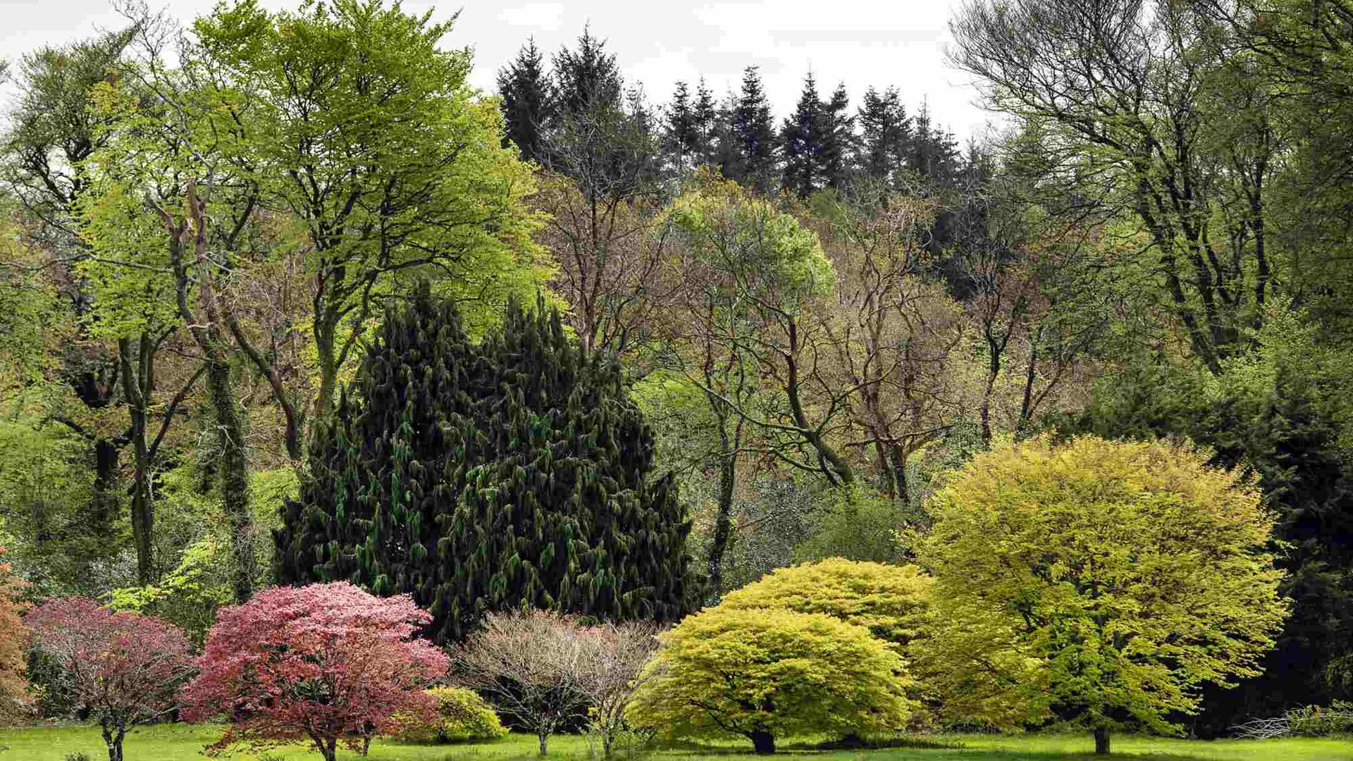 John F. Kennedy Arboretum