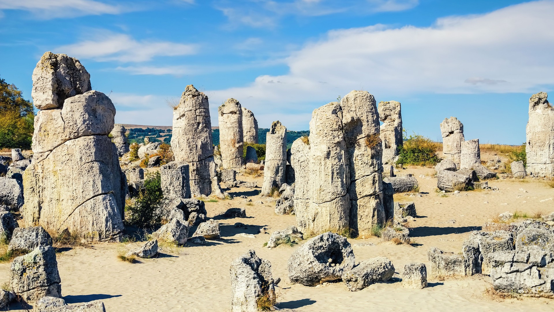 Pobiti Kamani (Stone Forest)