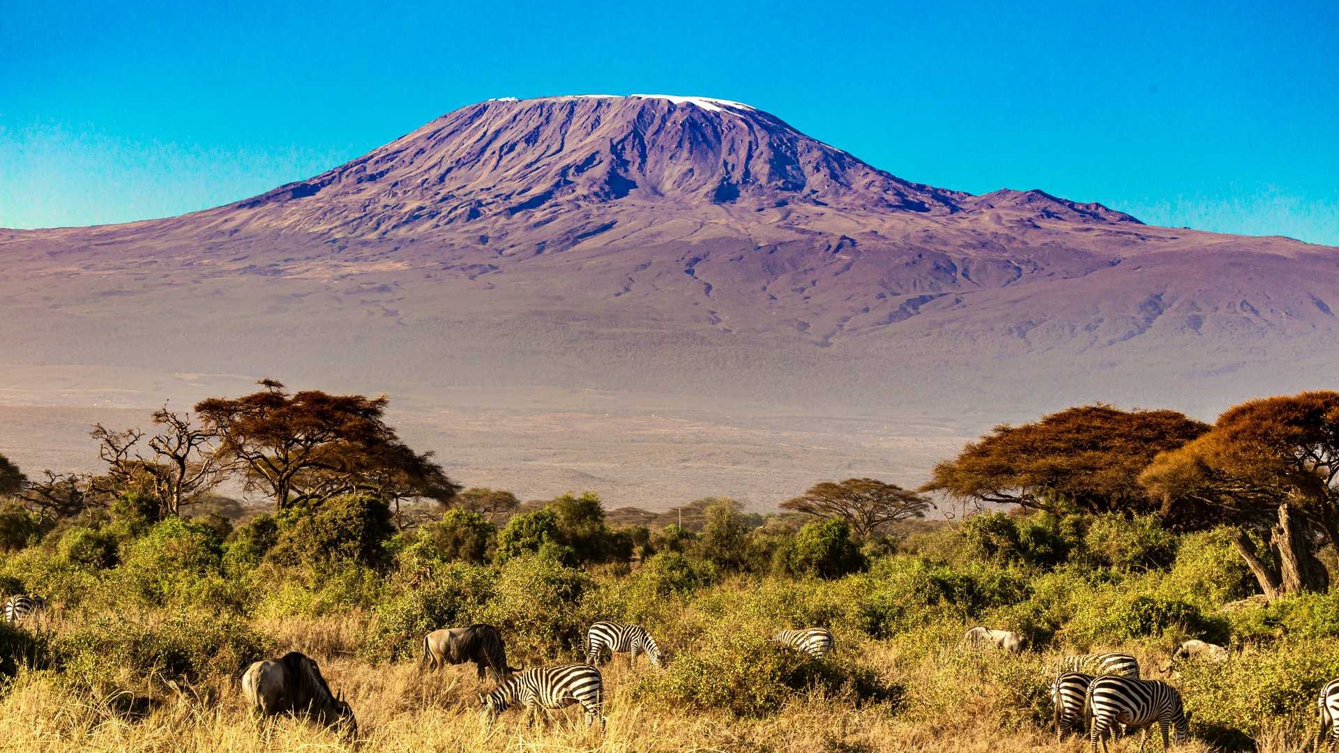 Kilimanjaro