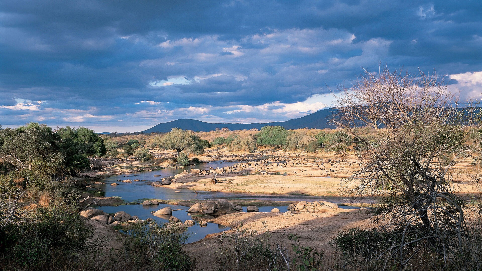 Ruaha
