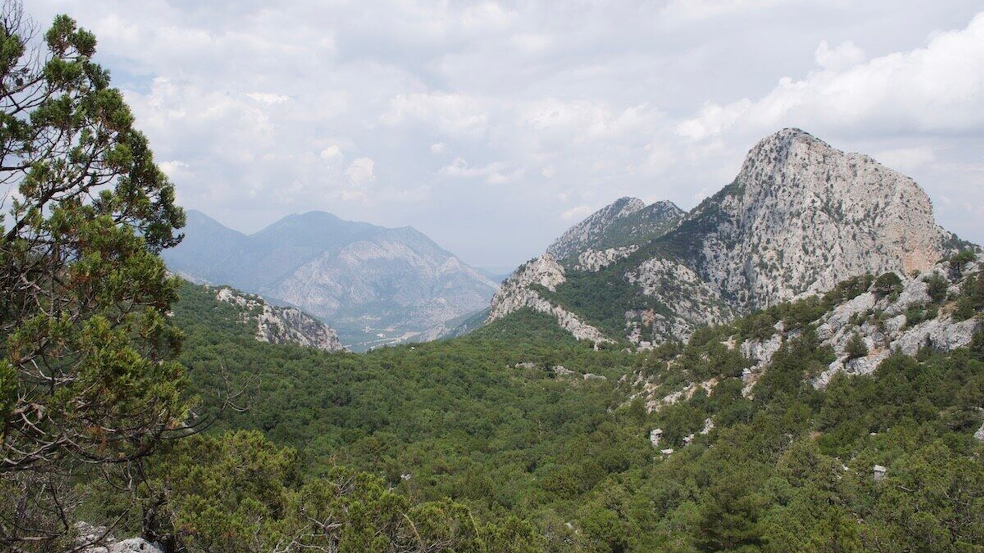 Termessos