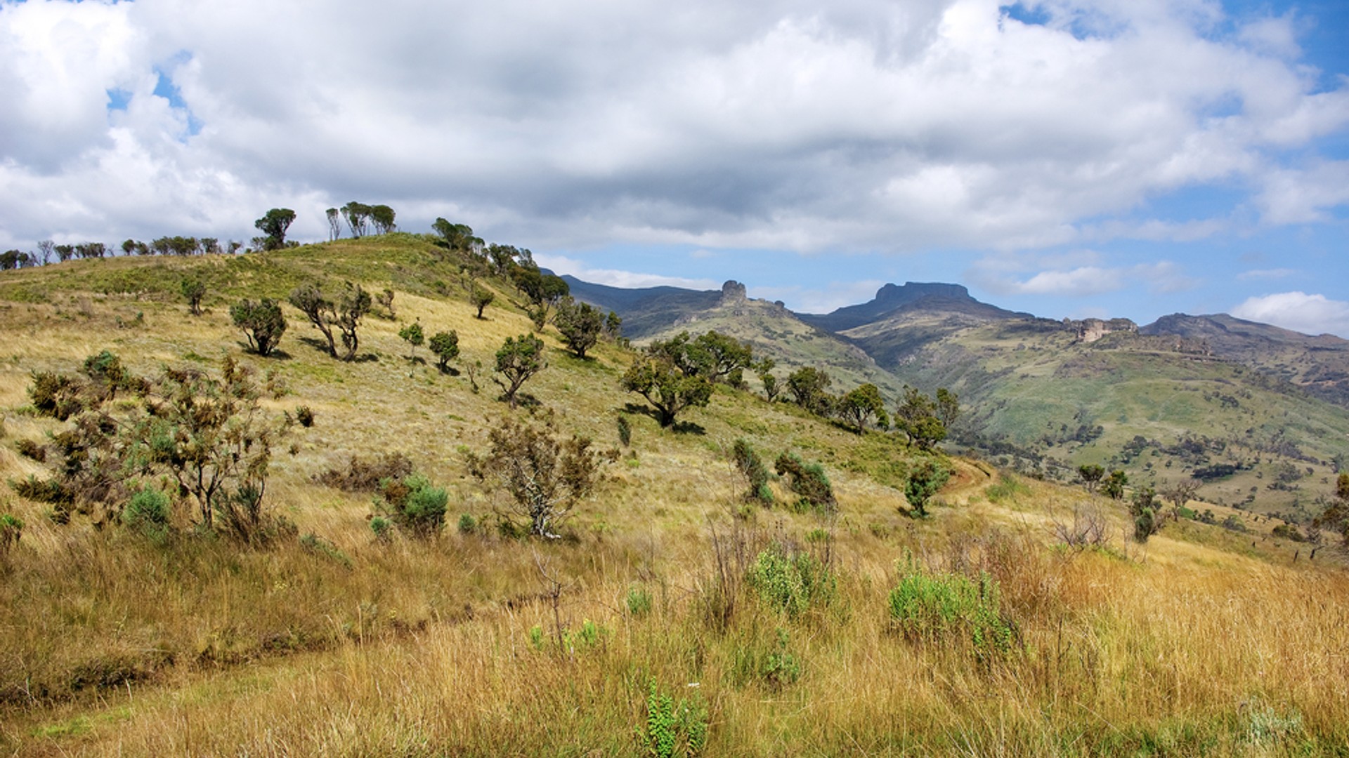 Mount Elgon