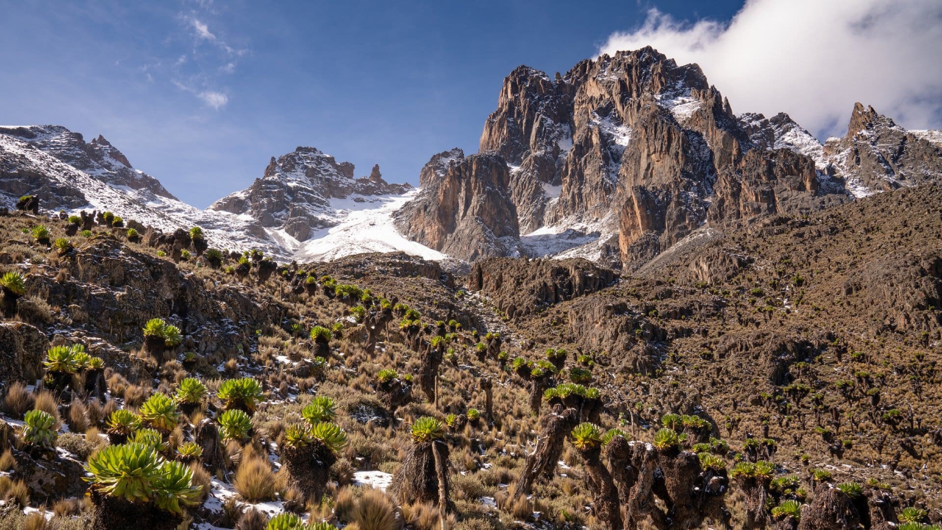 Mount Kenya