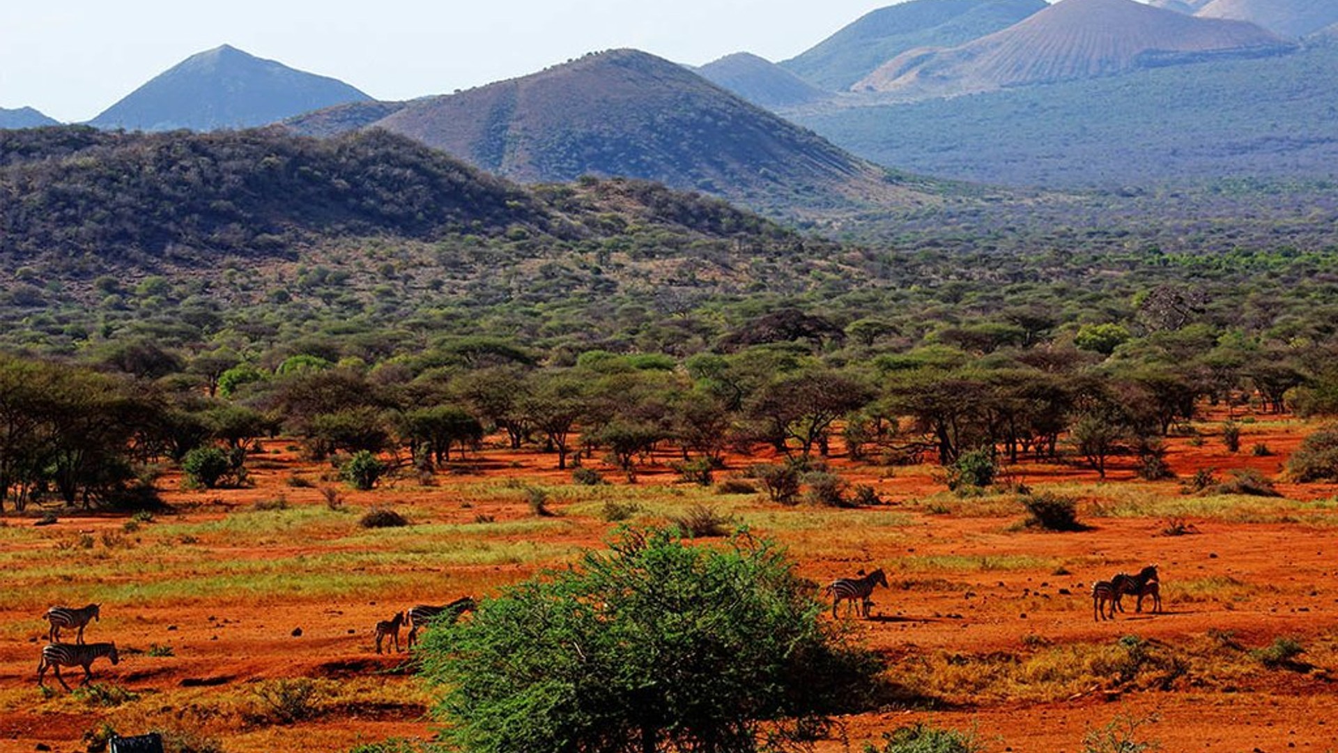 Tsavo West