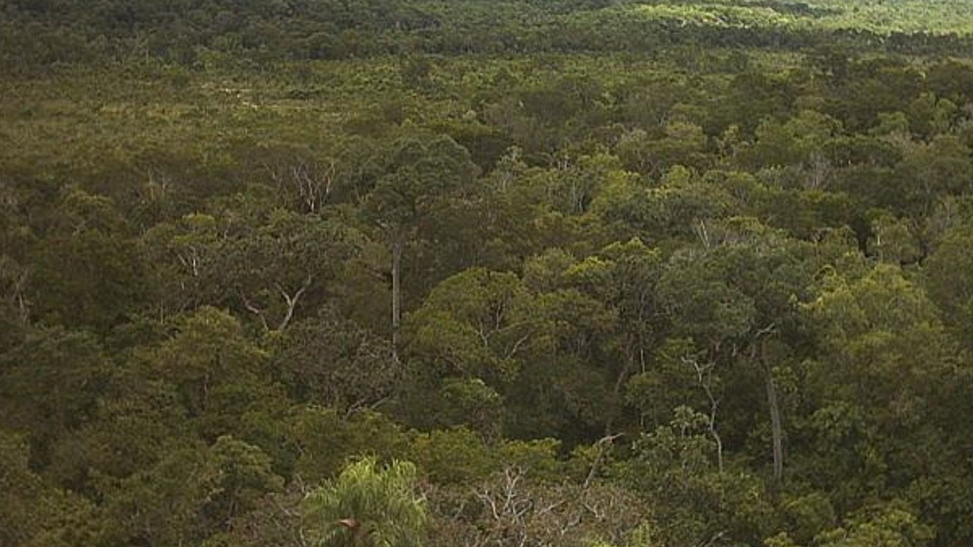 Cerro Cabrera-Timané