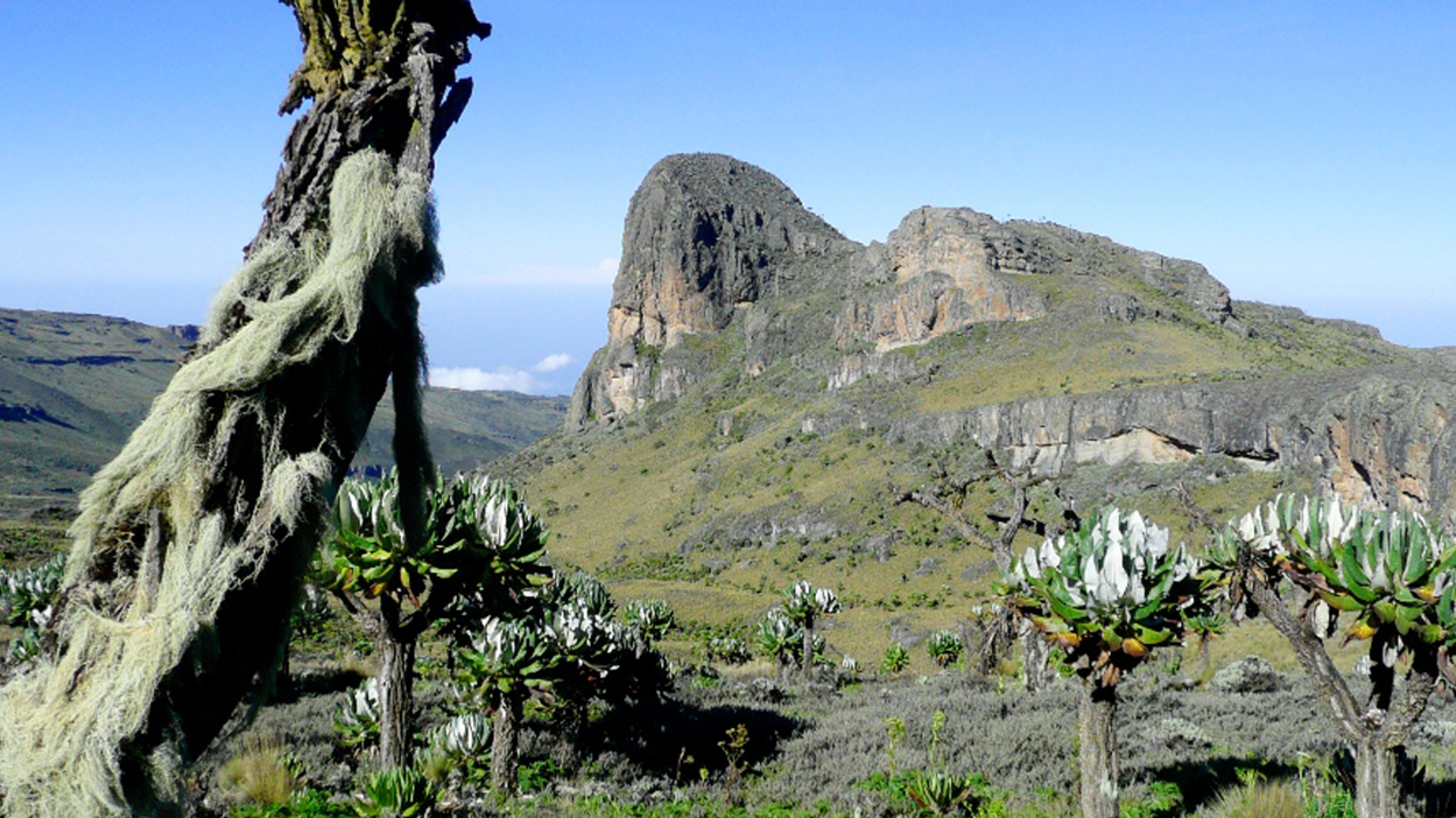 Mount Elgon