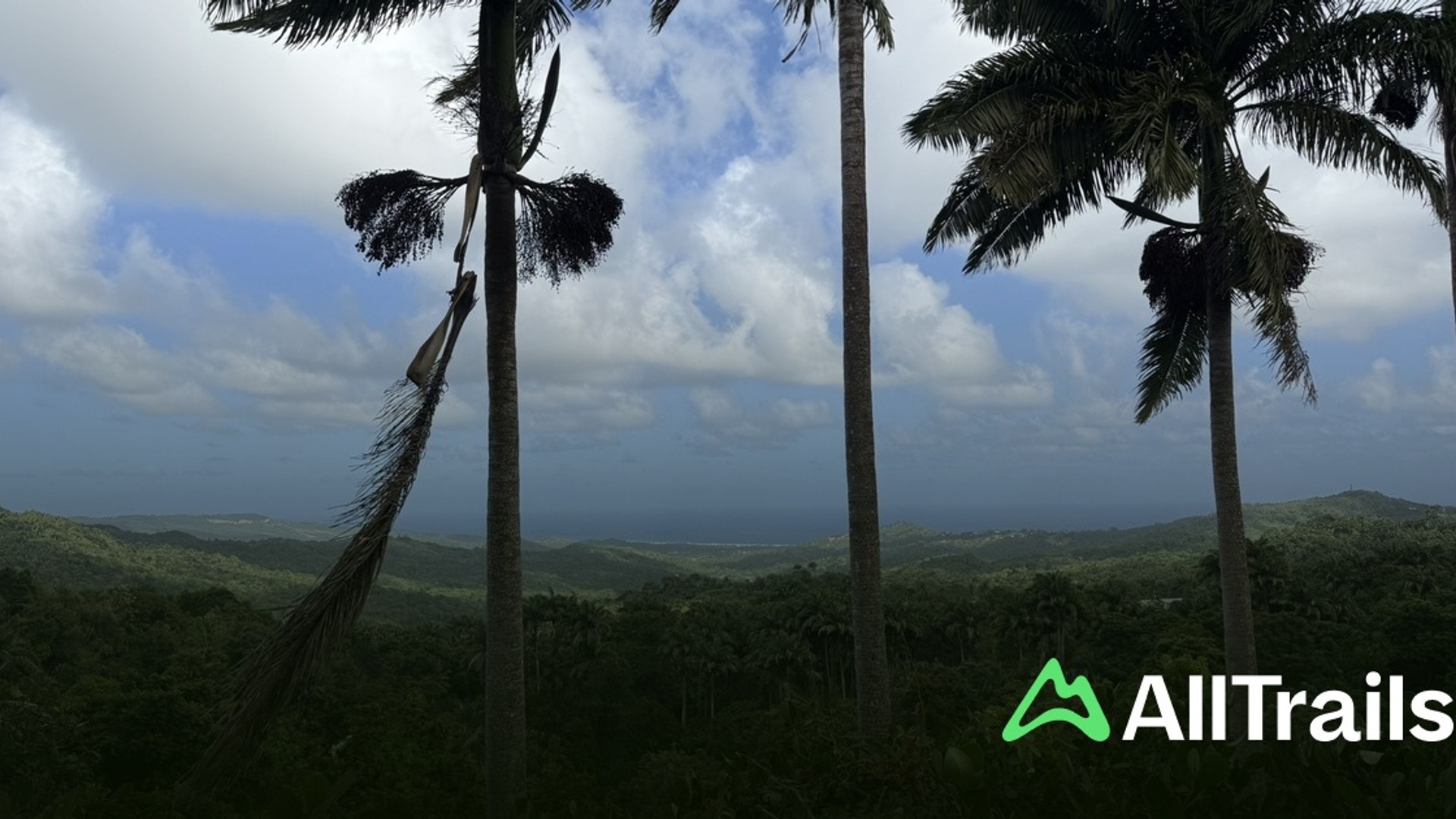 Jack-in-the-Box Gully