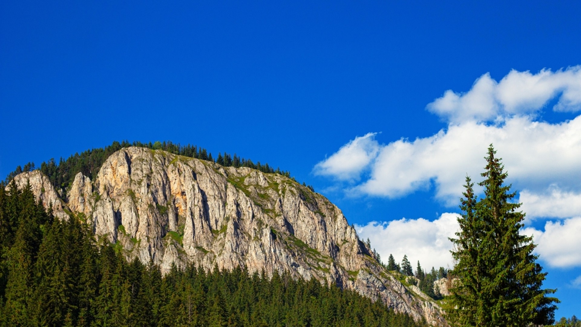 Cheile Bicazului-Hășmaș