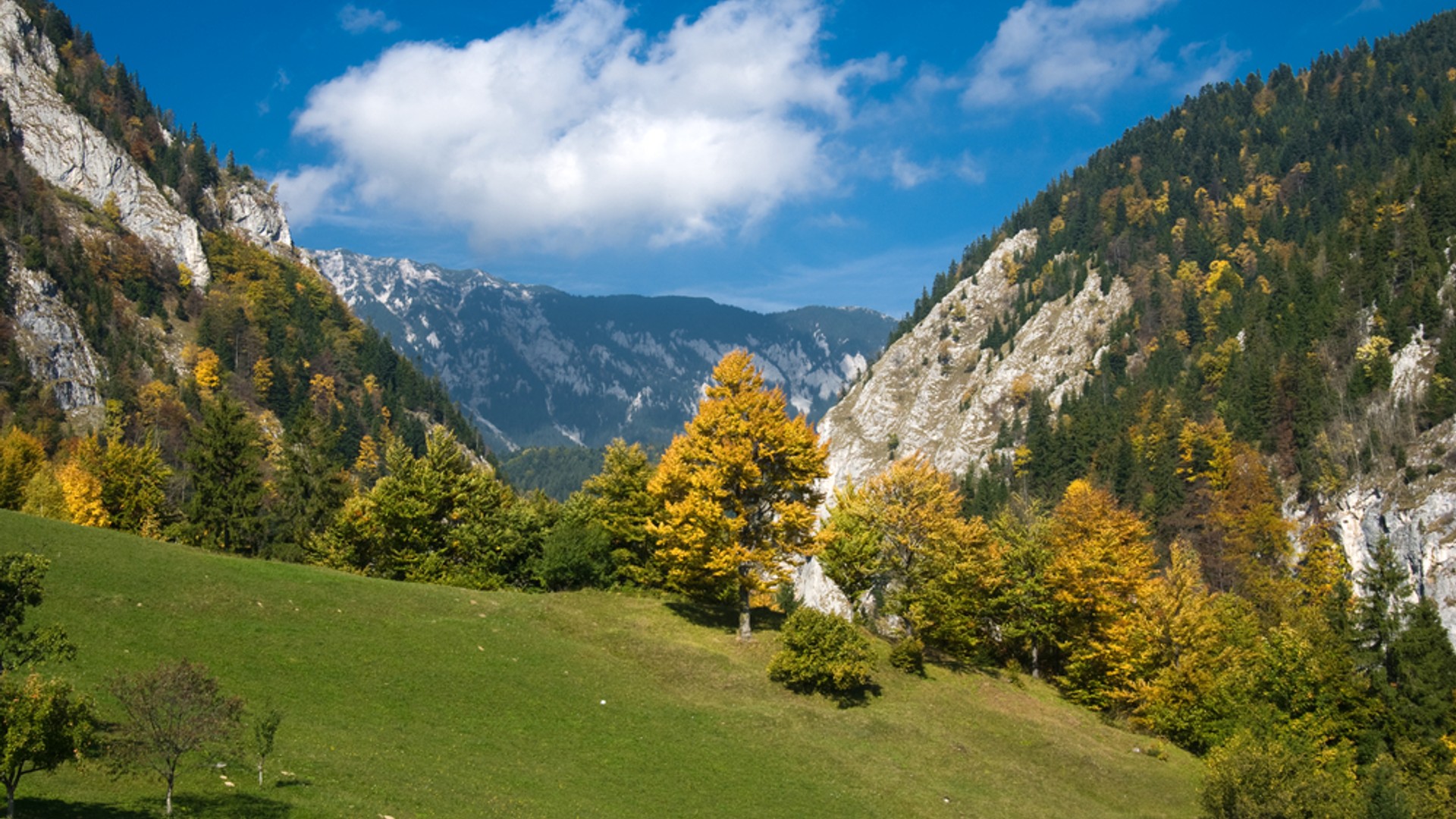Piatra Craiului