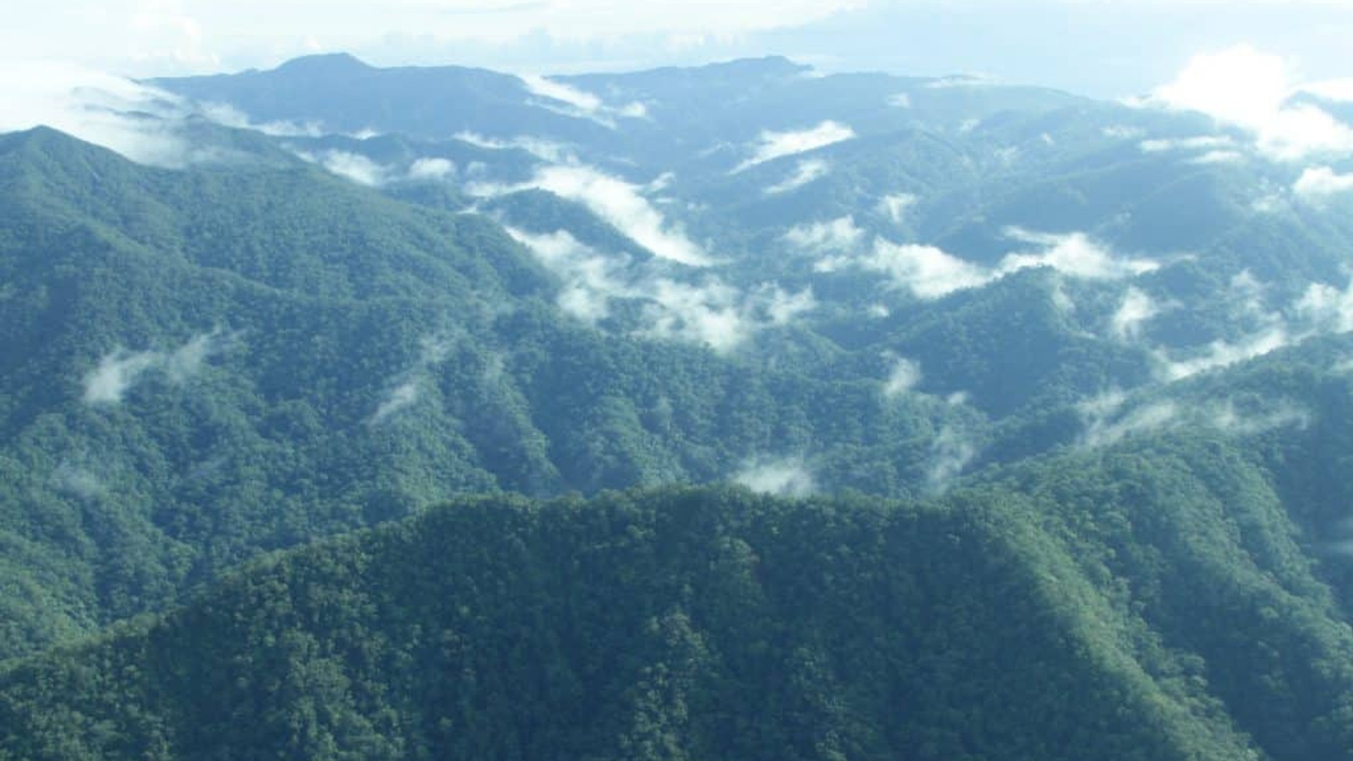 Northern Sierra Madre