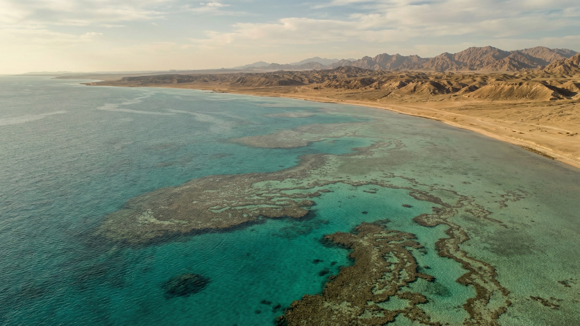 Red Sea Islands