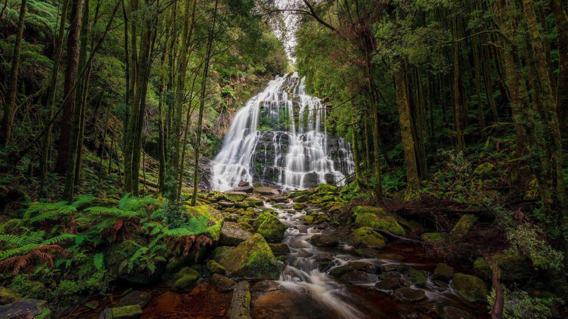 Franklin-Gordon Wild Rivers