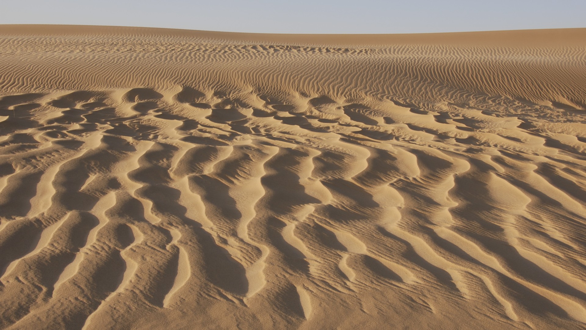 Termit and Tin Toumma