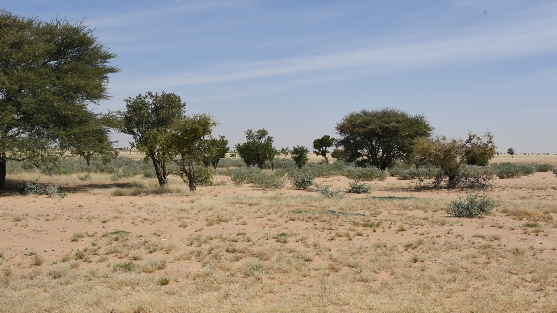 Ouadi Rimé-Ouadi Achim