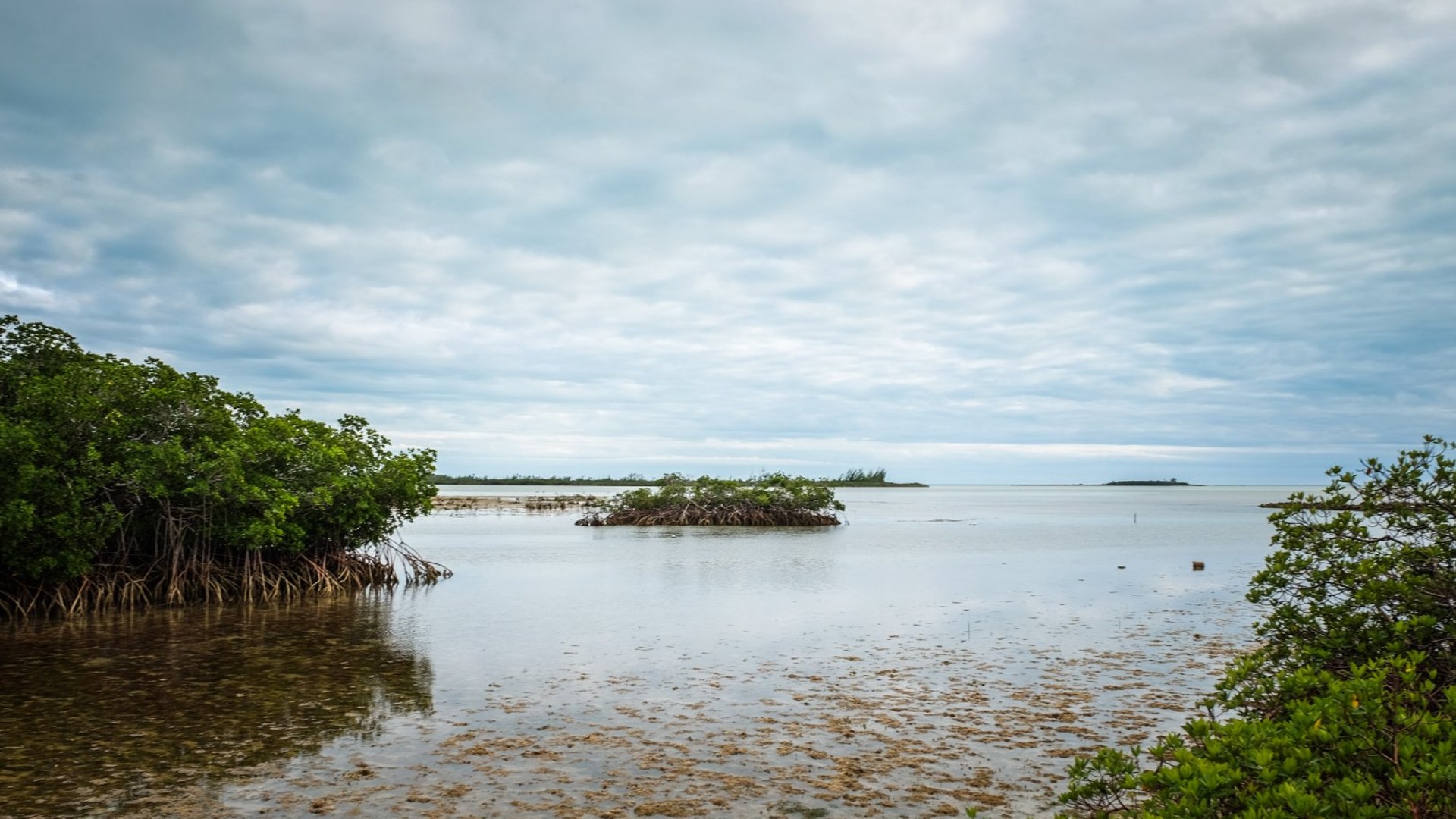 Harrold and Wilson Ponds