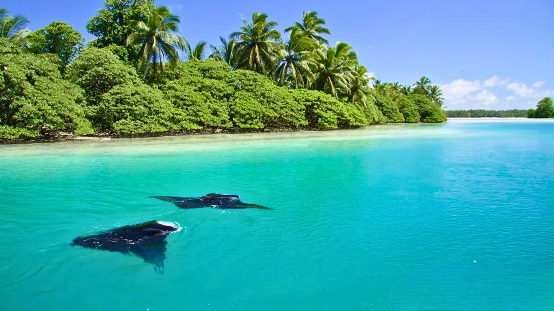 Pacific Islands Heritage Marine