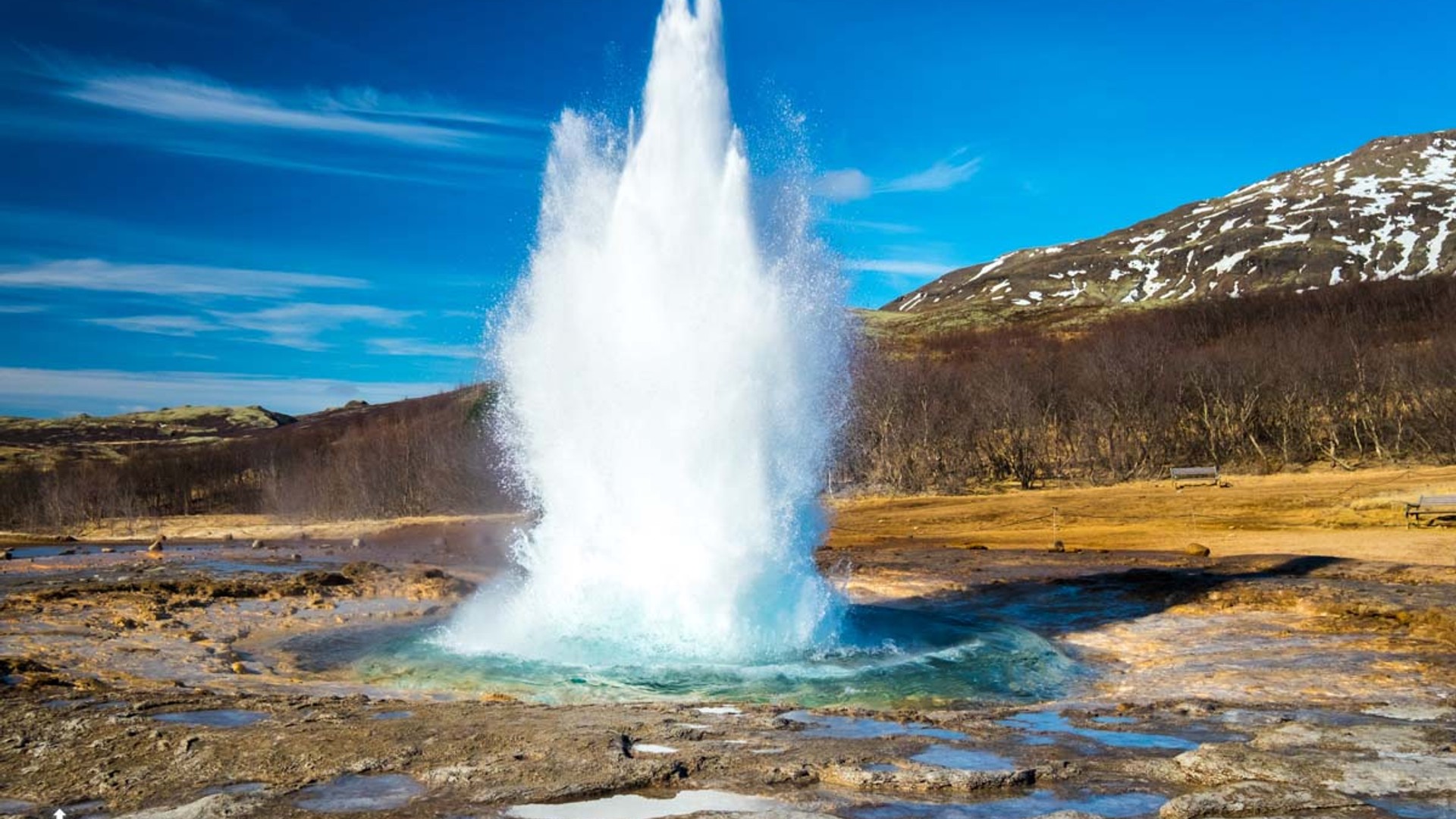 Geysir Geothermal Area