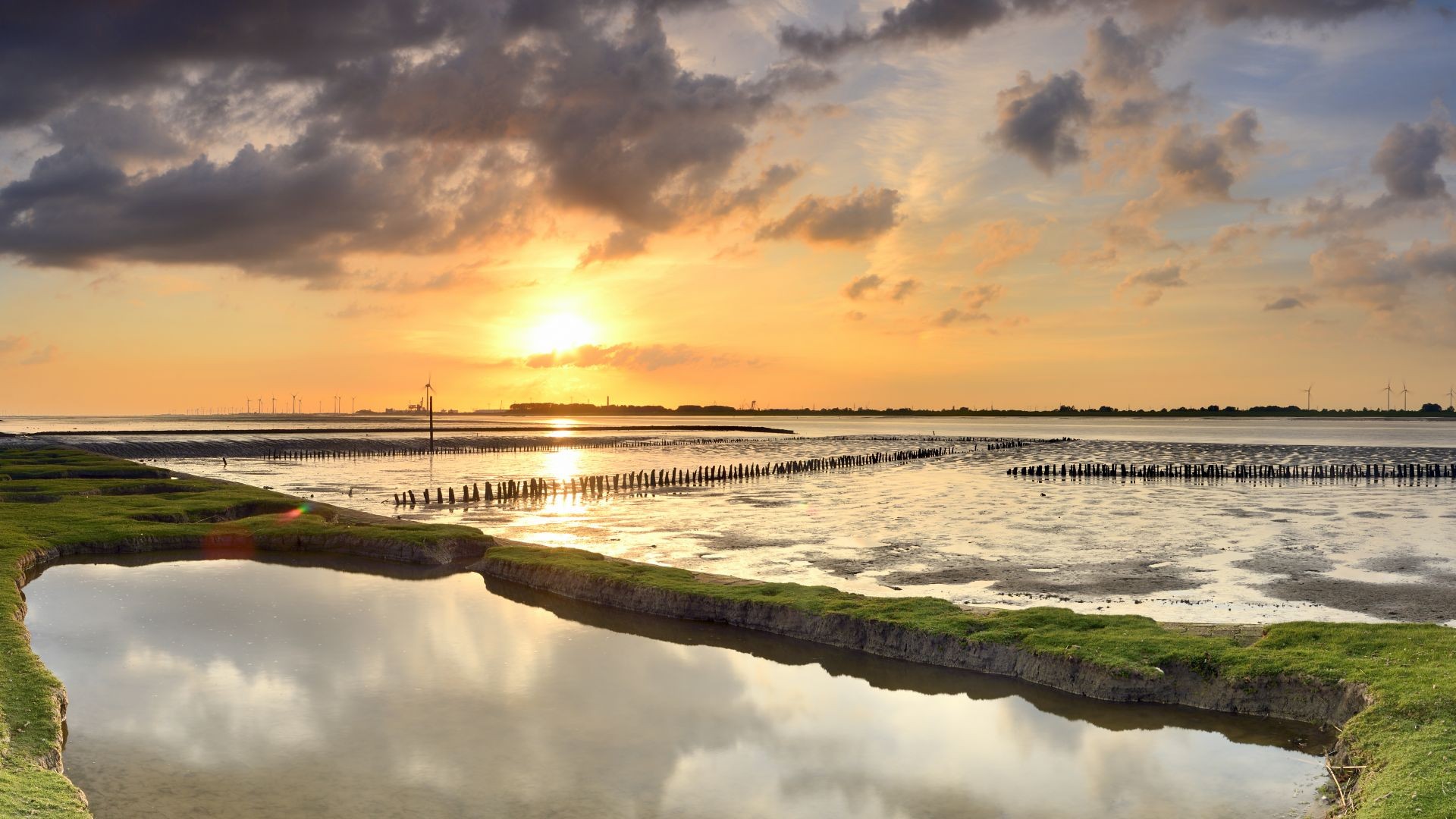 Lower Saxon Wadden Sea