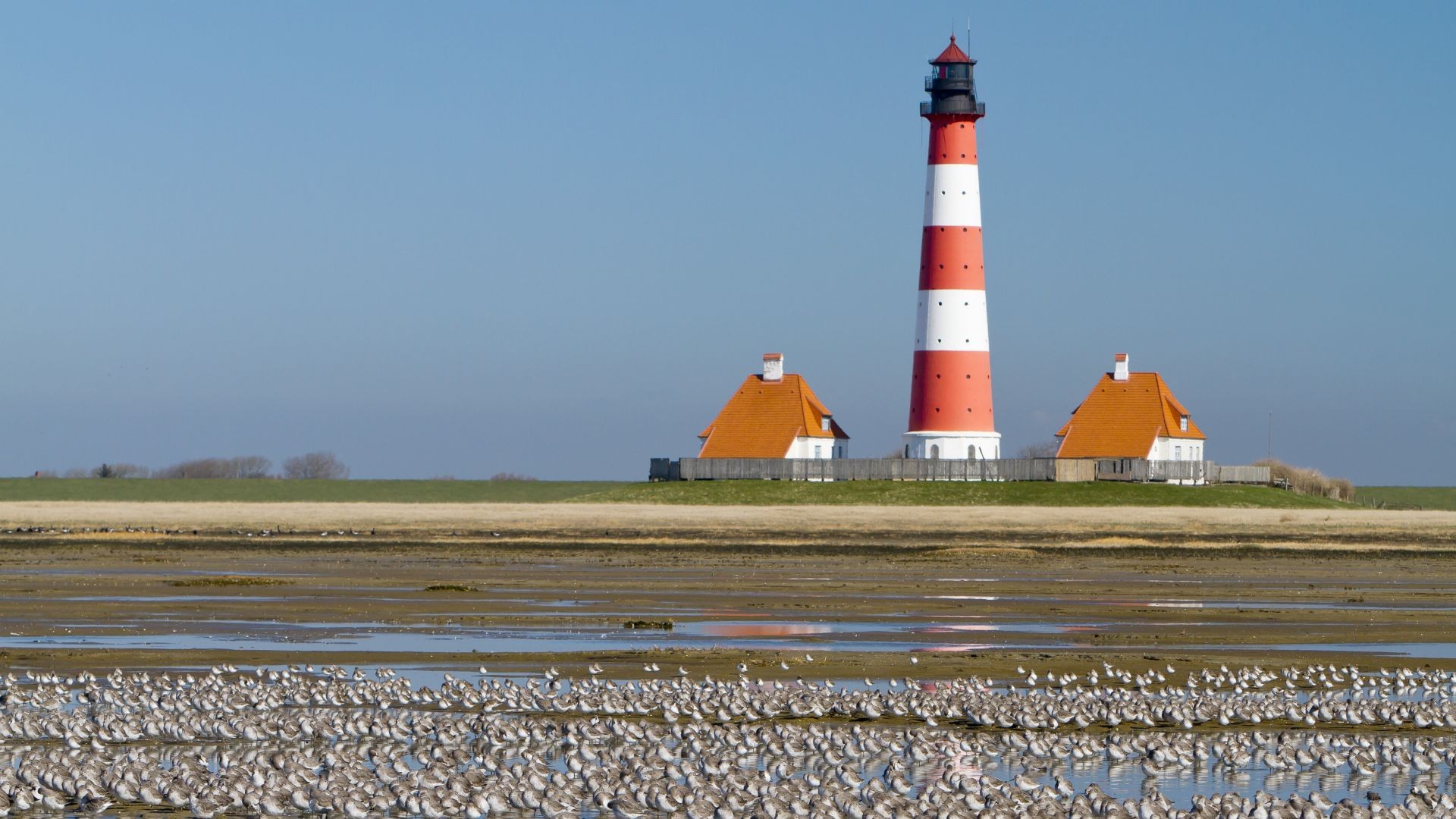 Schleswig-Holstein Wadden Sea