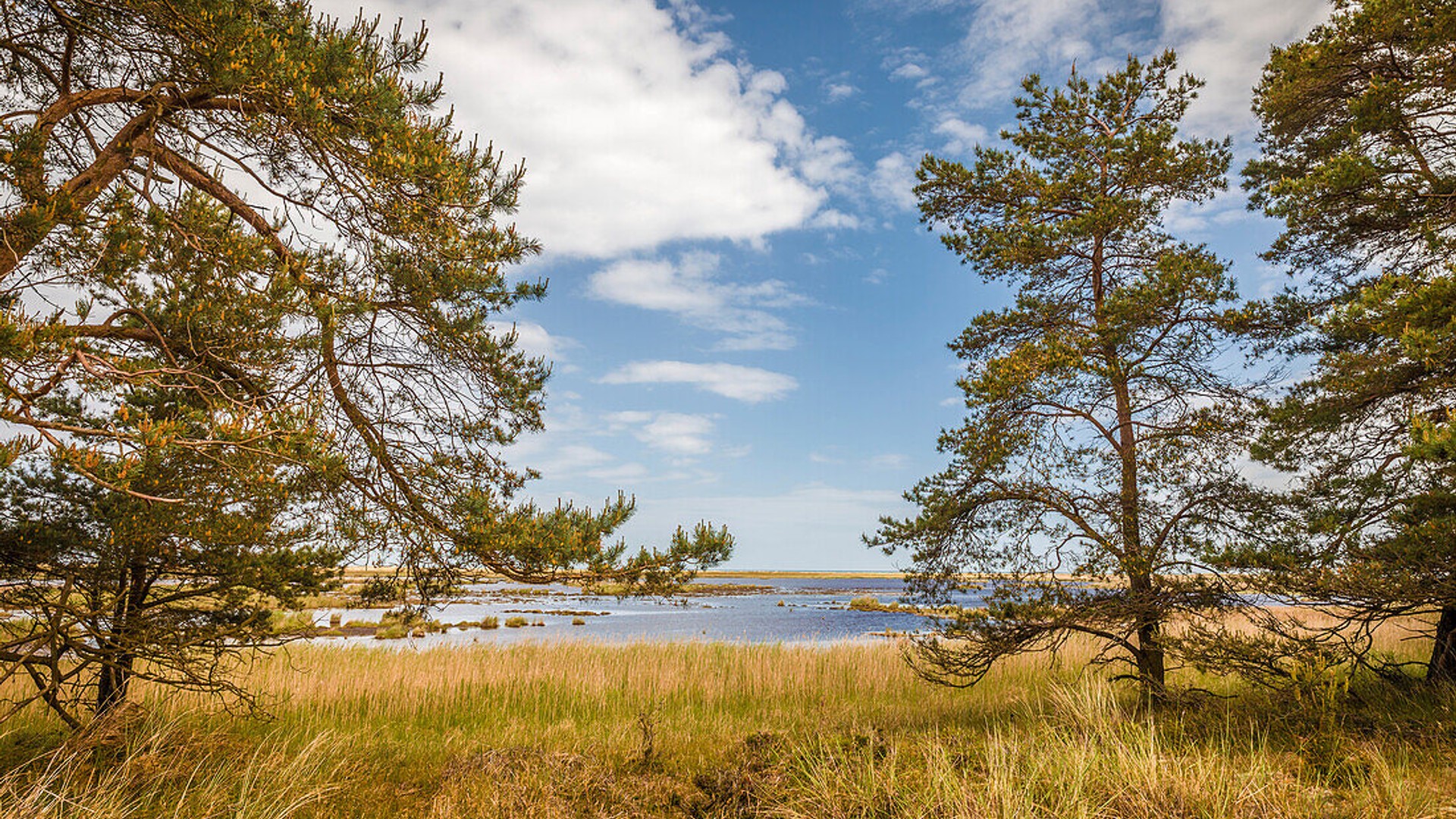 Western Pomerania Lagoon Area