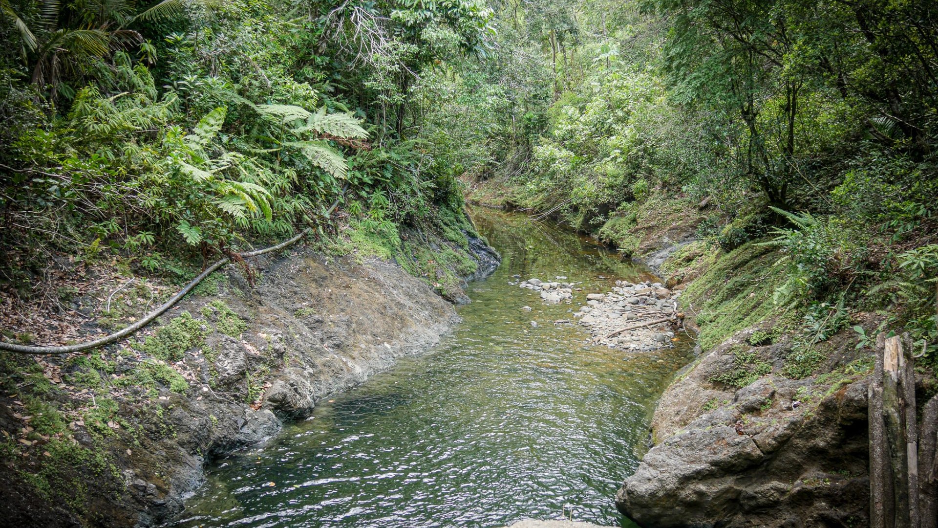 Alejandro de Humboldt