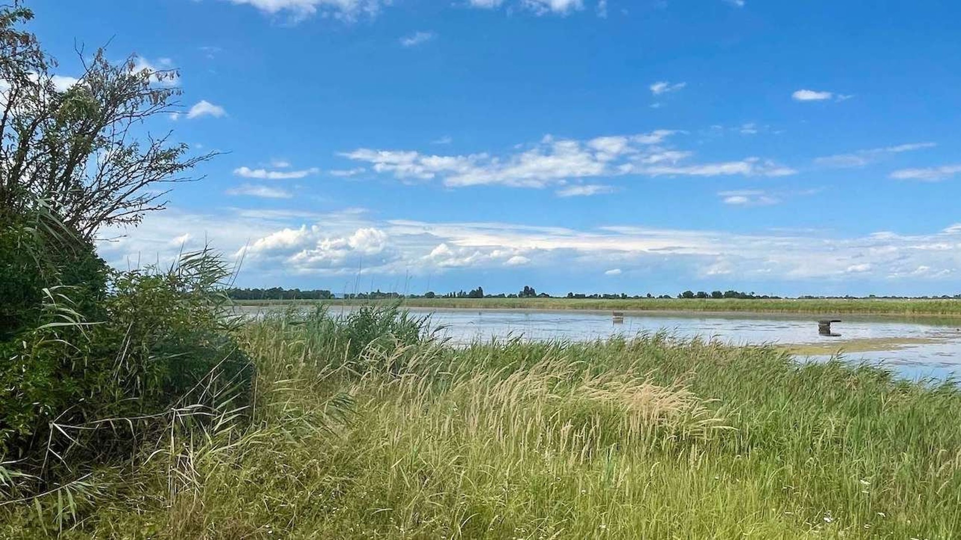 Neusiedler See-Seewinkel