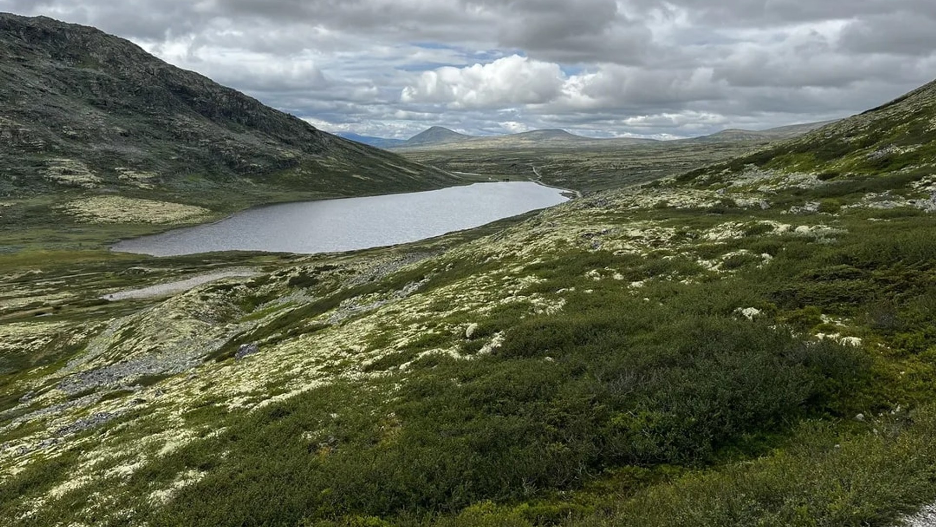 Rondane