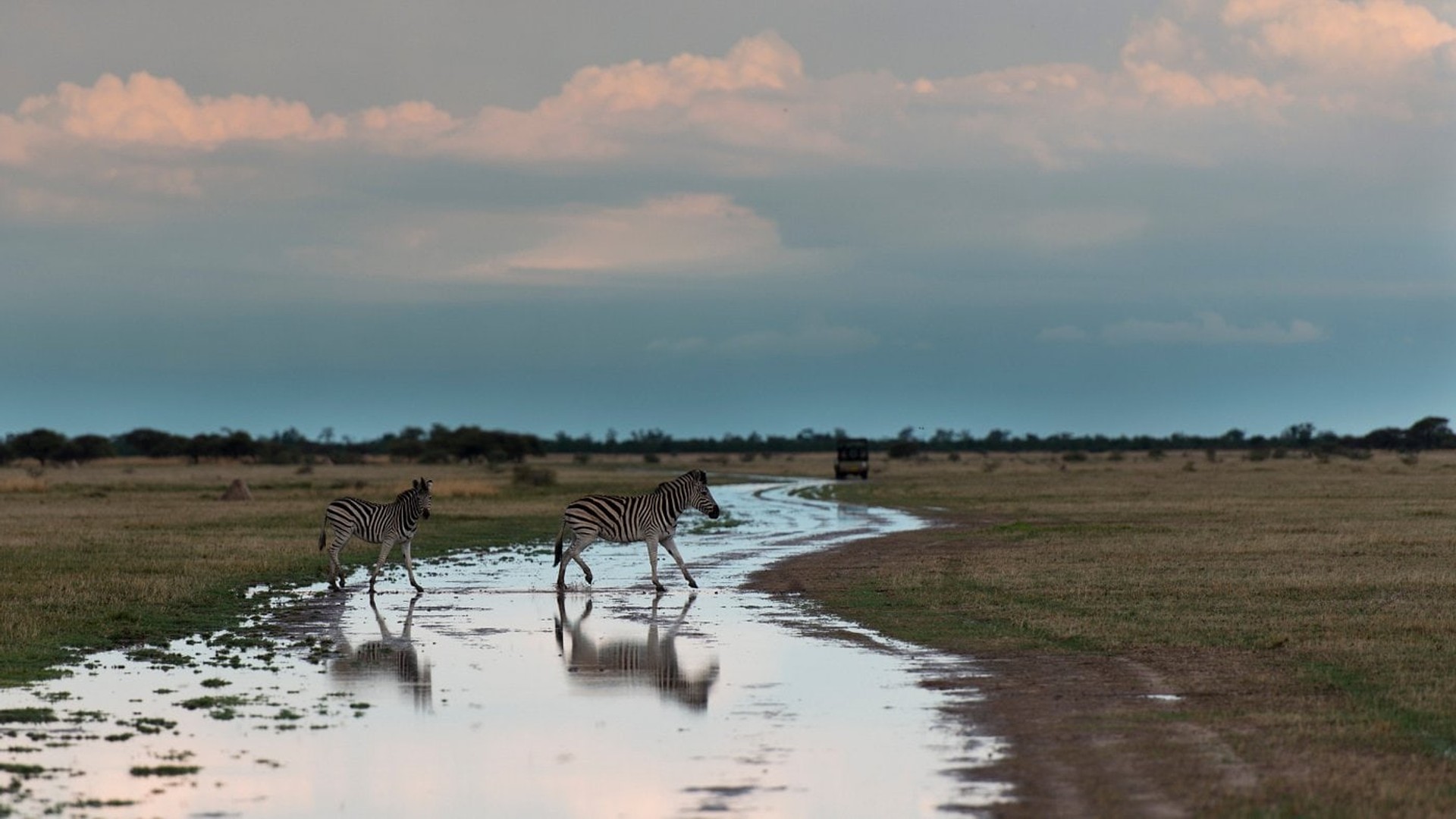 Makgadikgadi Pans