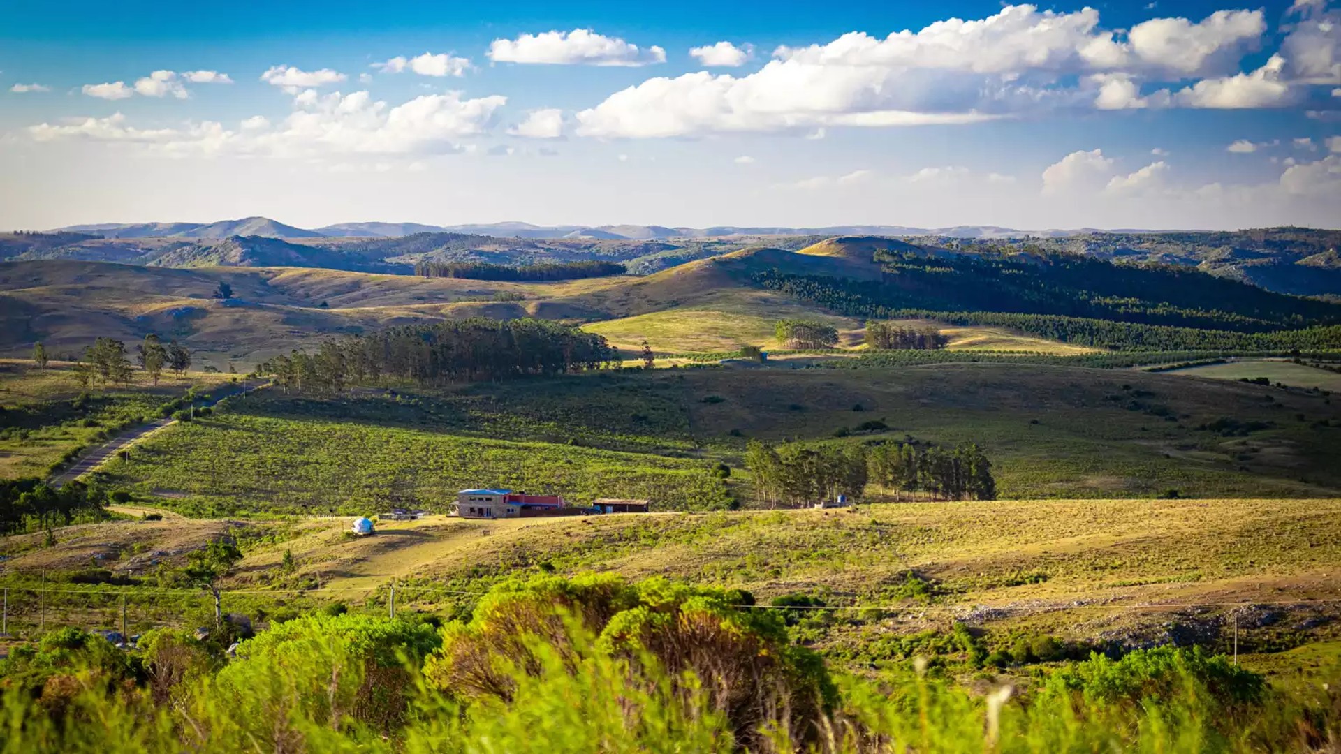 Esteros de Farrapos e Islas del Río Uruguay