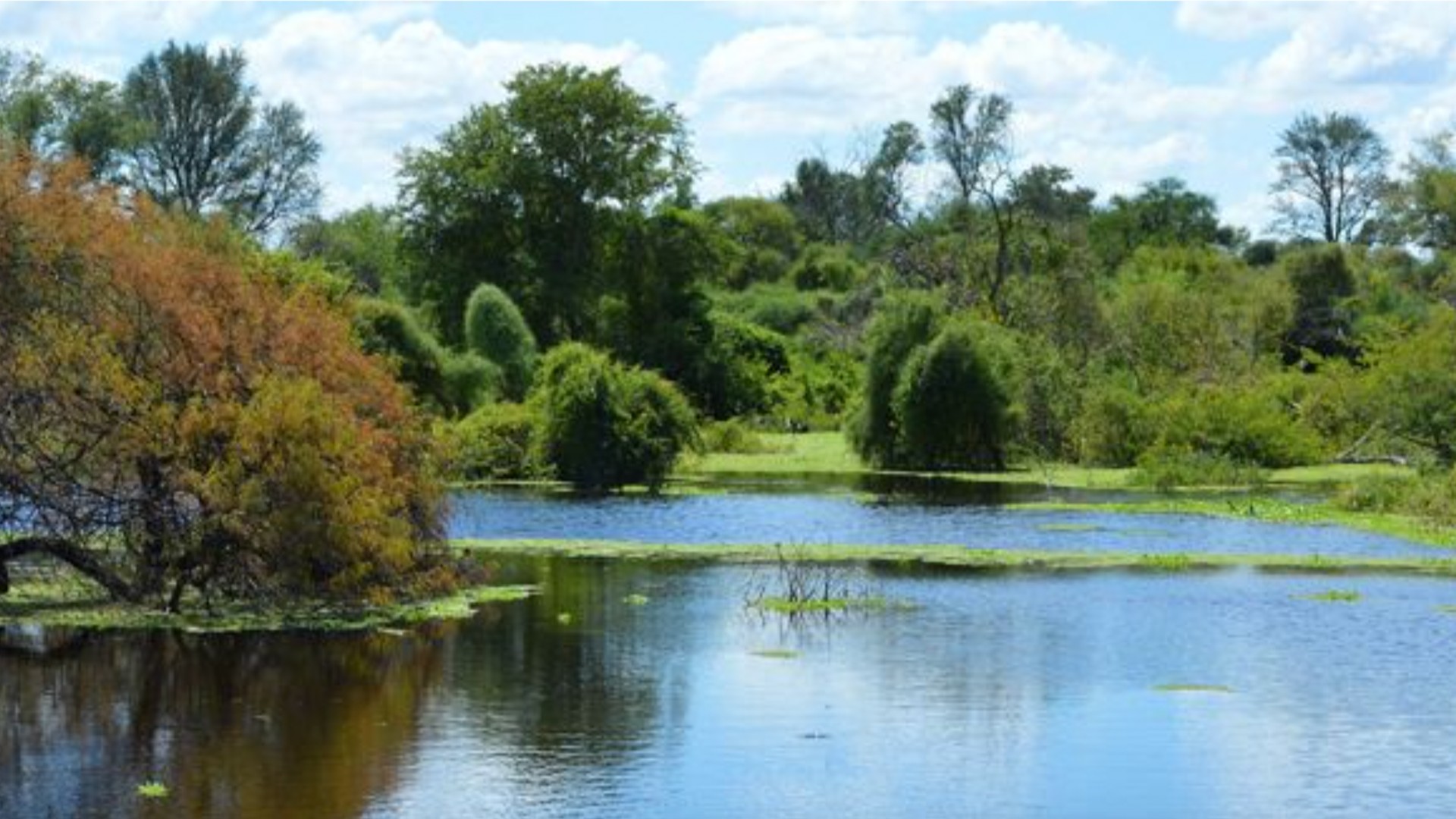 Defensores del Chaco