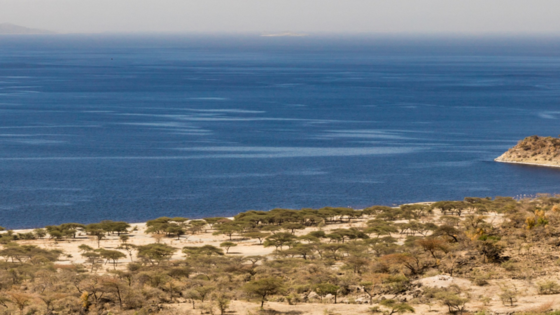 Abijatta-Shalla Lakes