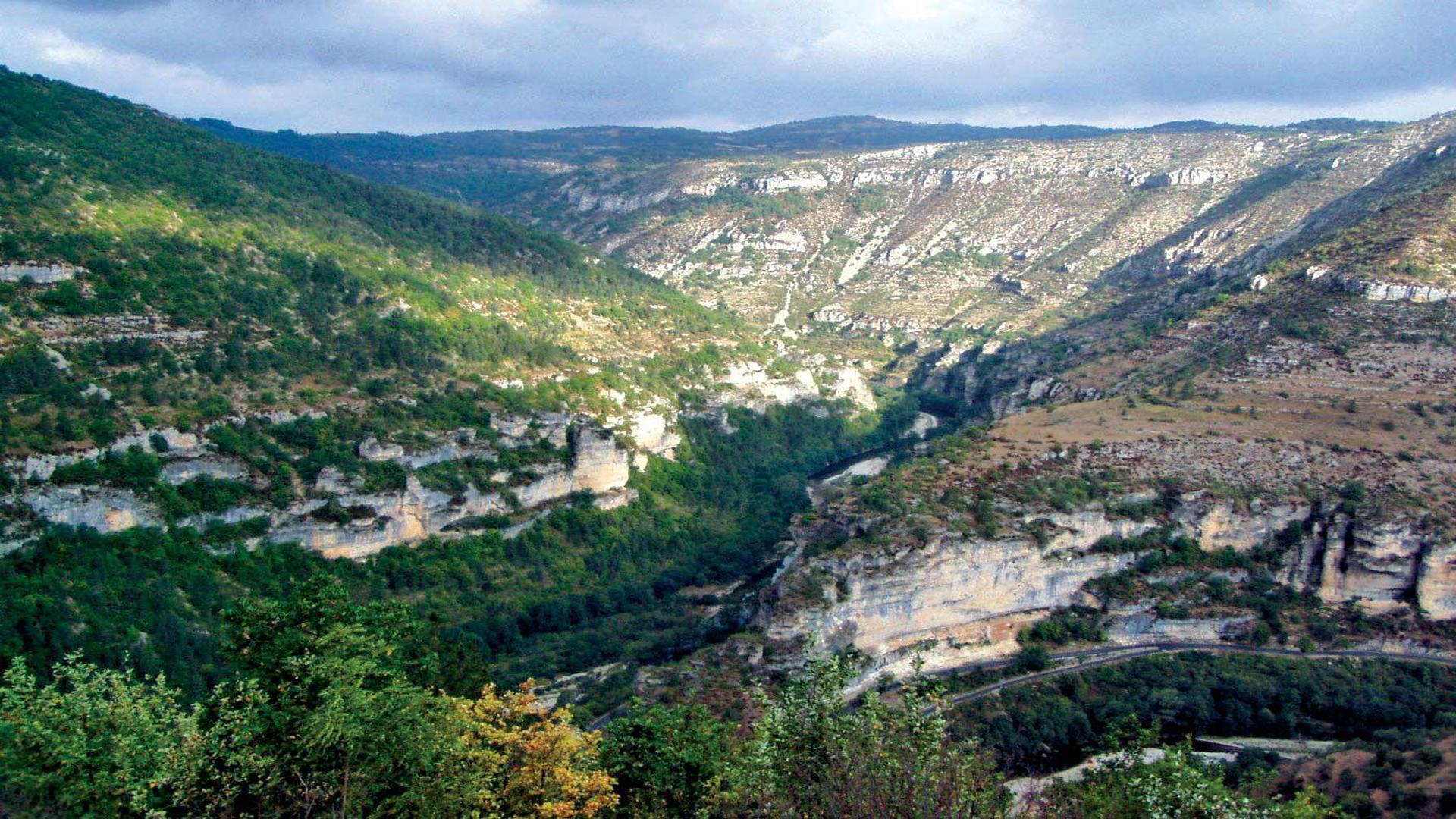 Cévennes