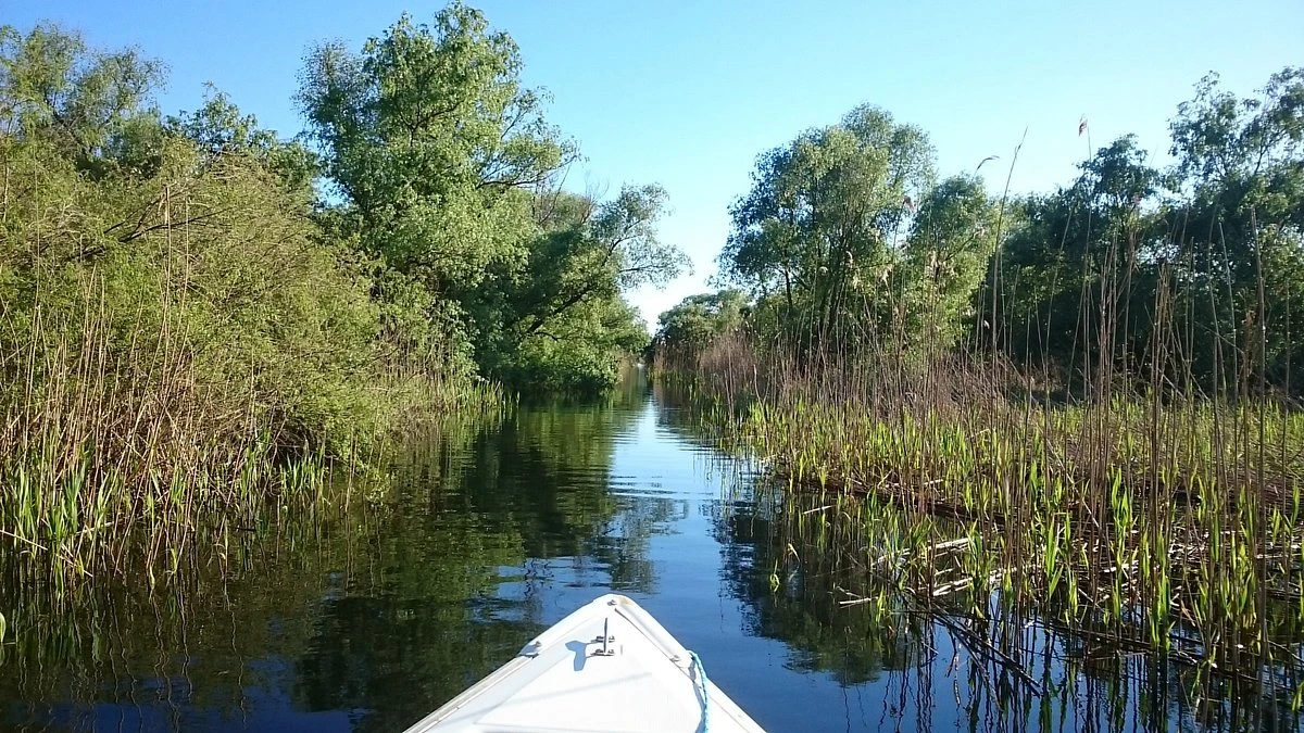 Danube Delta