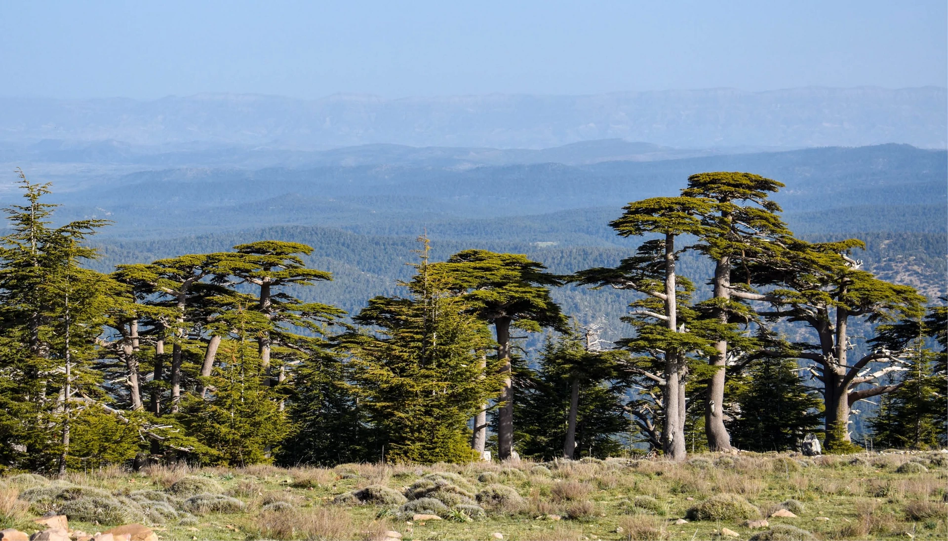 Djebel Babor