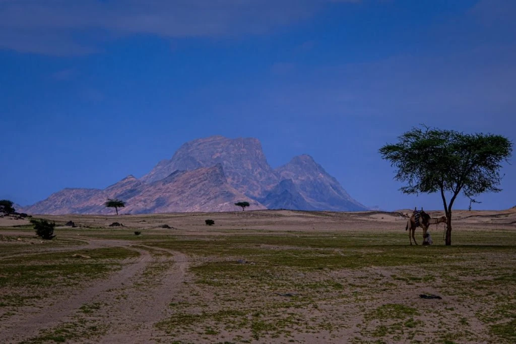 Jebel Elba
