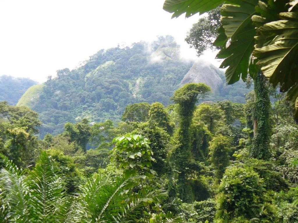 Afi Mountain