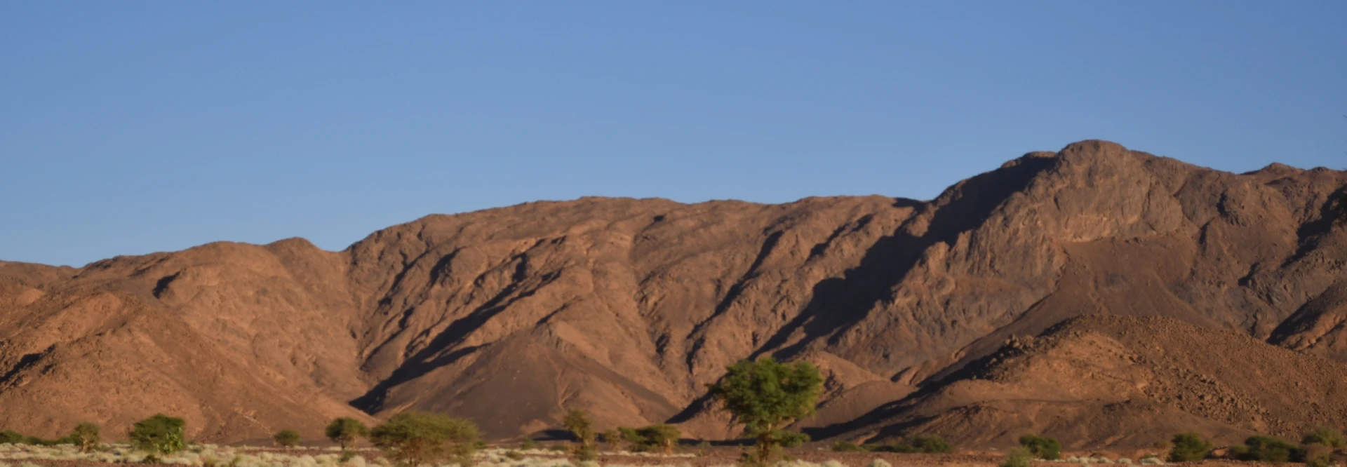 Air and Ténéré Addax Sanctuary