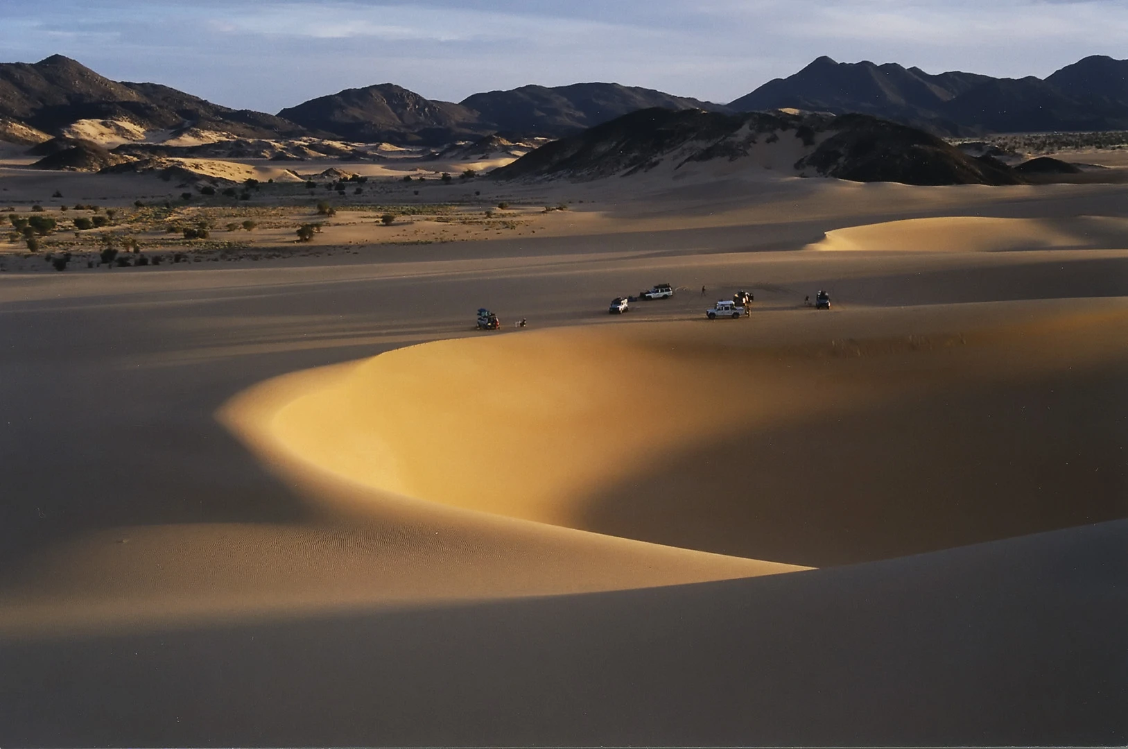Gueltas et Oasis de l'Aïr