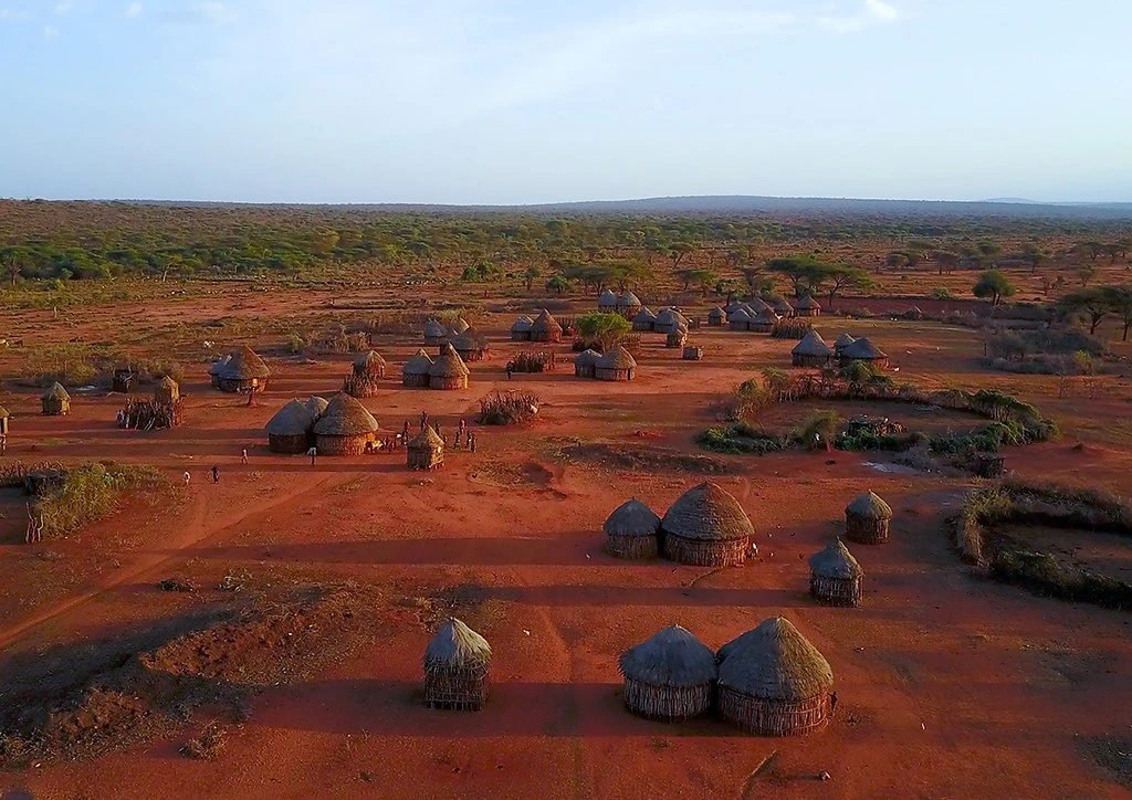 Borana