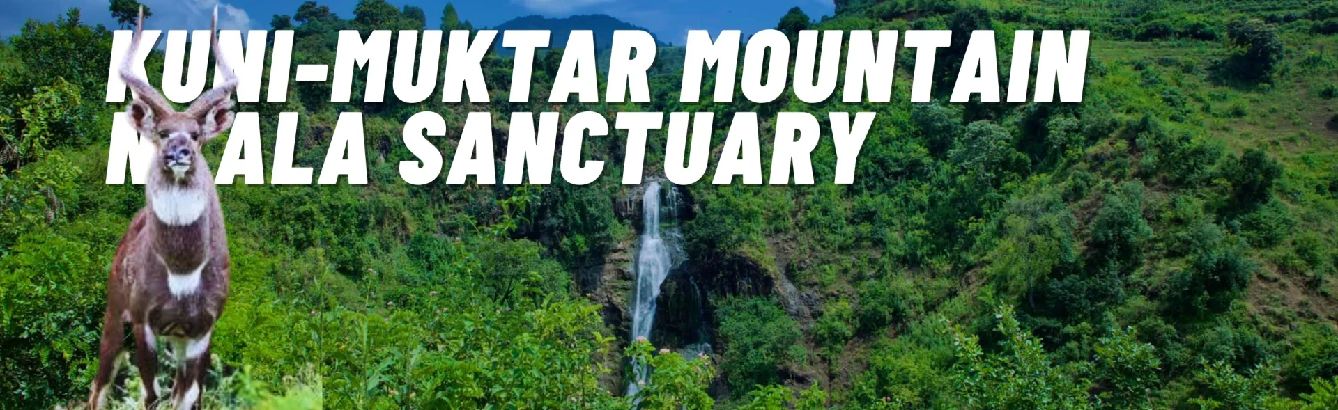 Kuni-Muktar