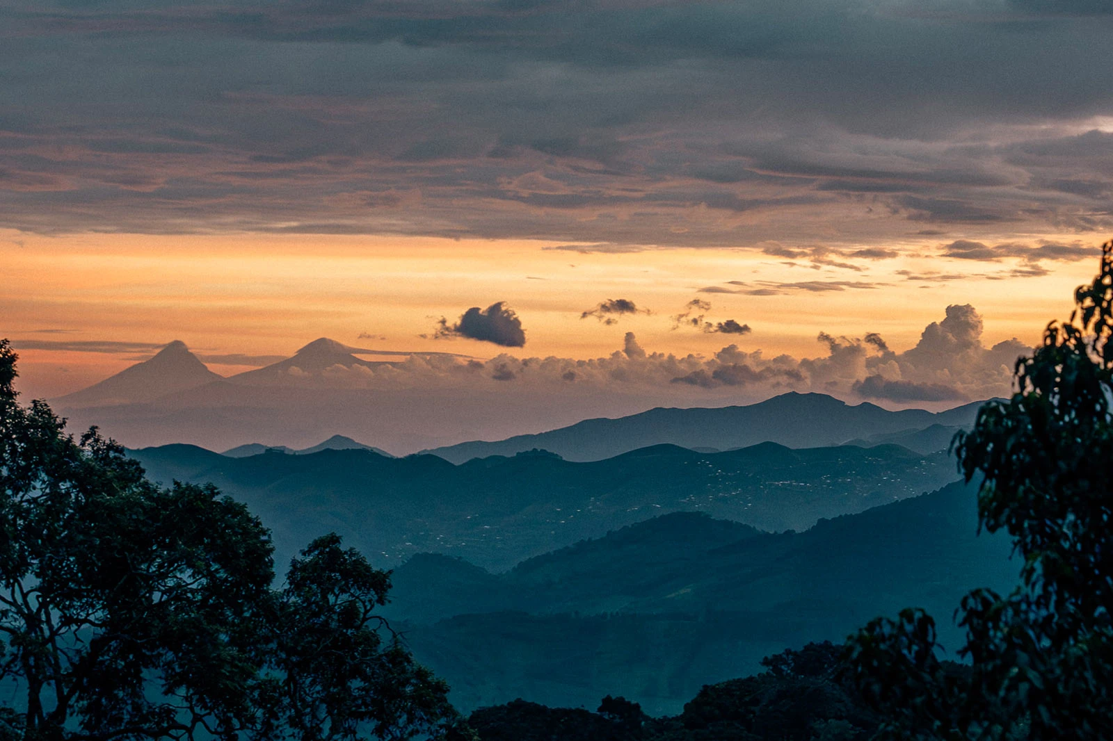 Nyungwe