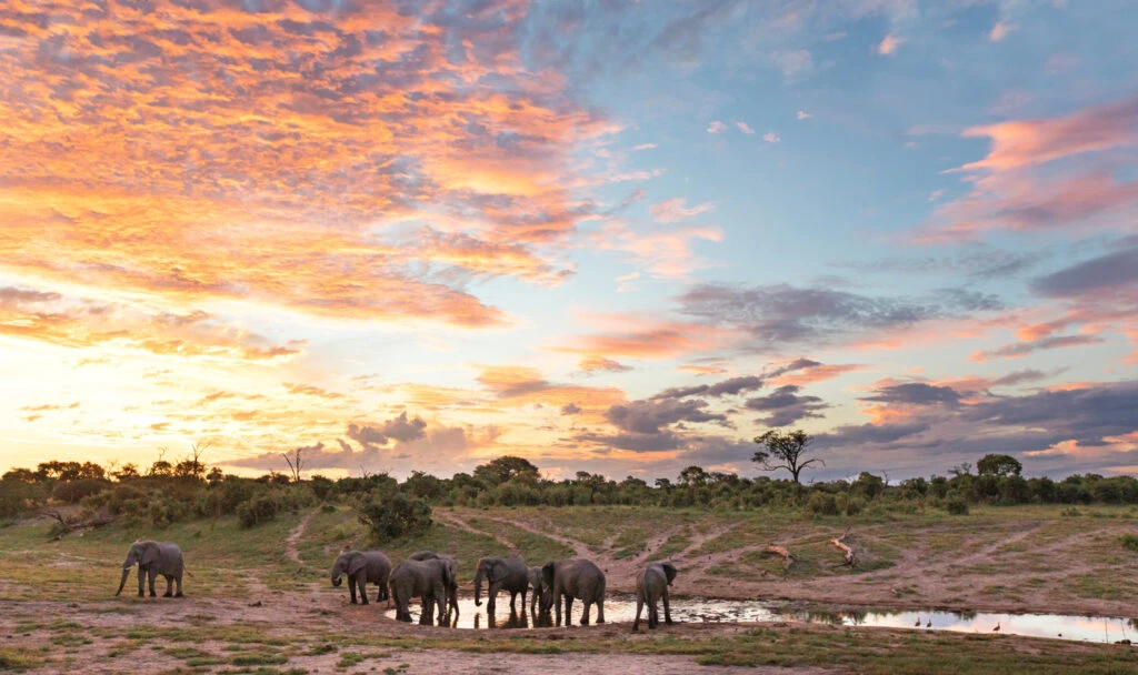 Chobe