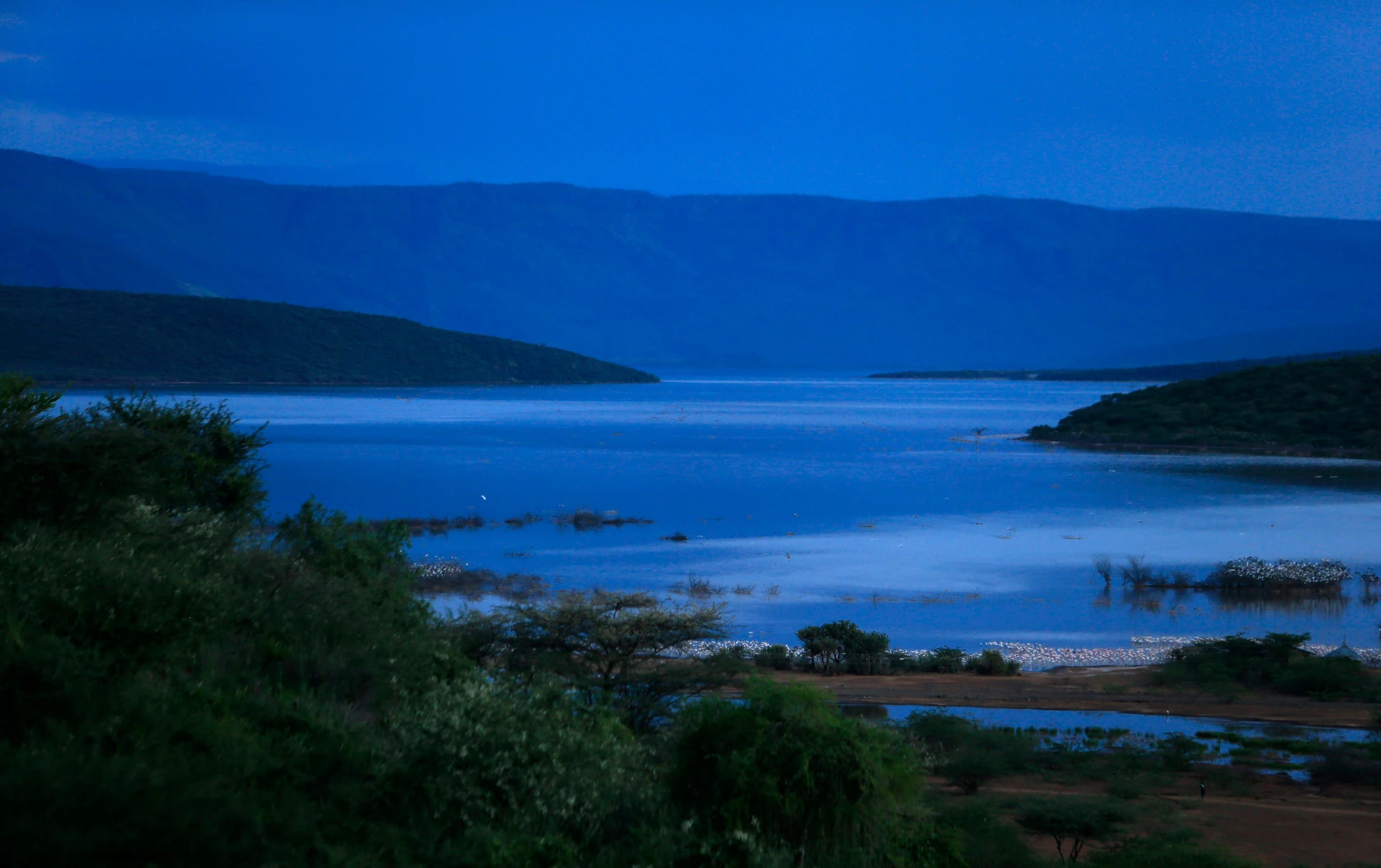 Lake Bogoria