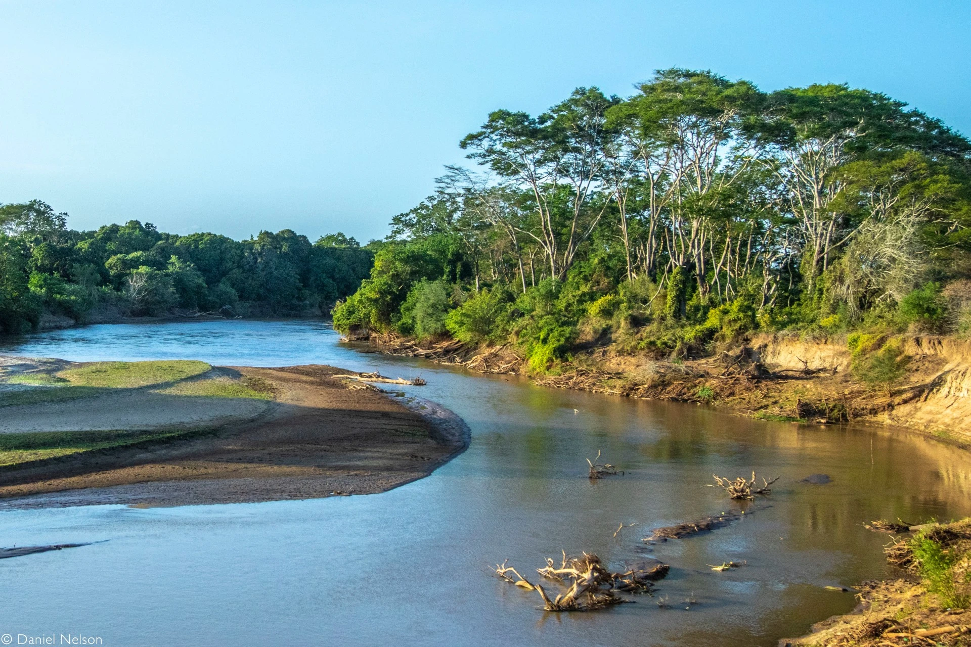 Tana River Primate