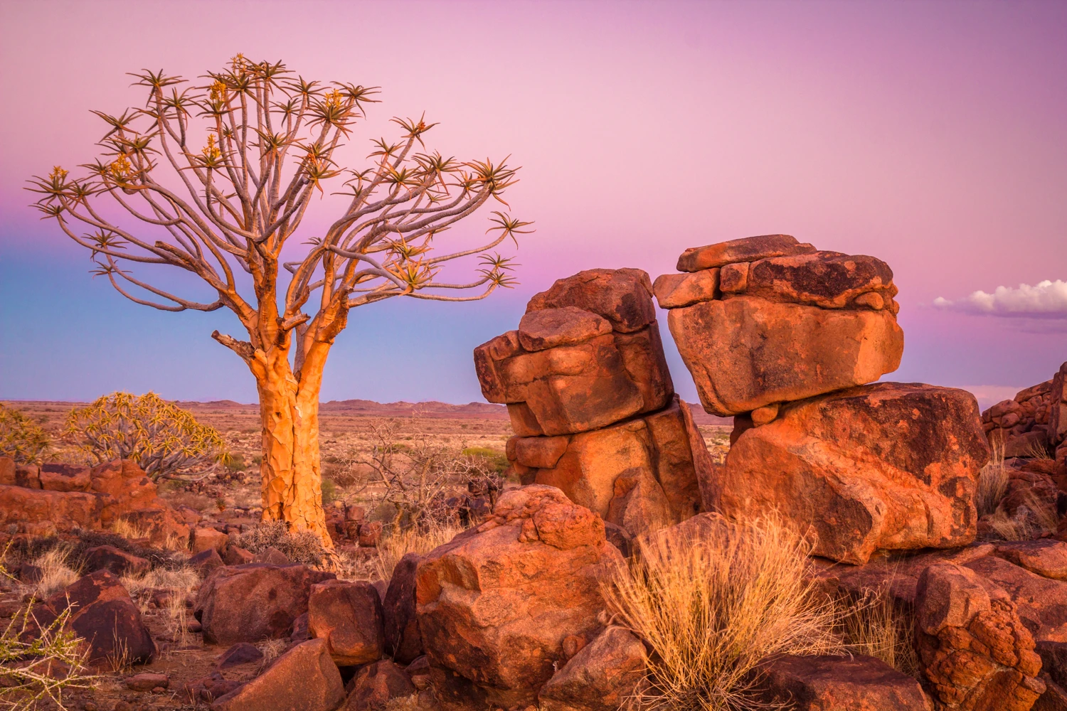 Namibian Islands