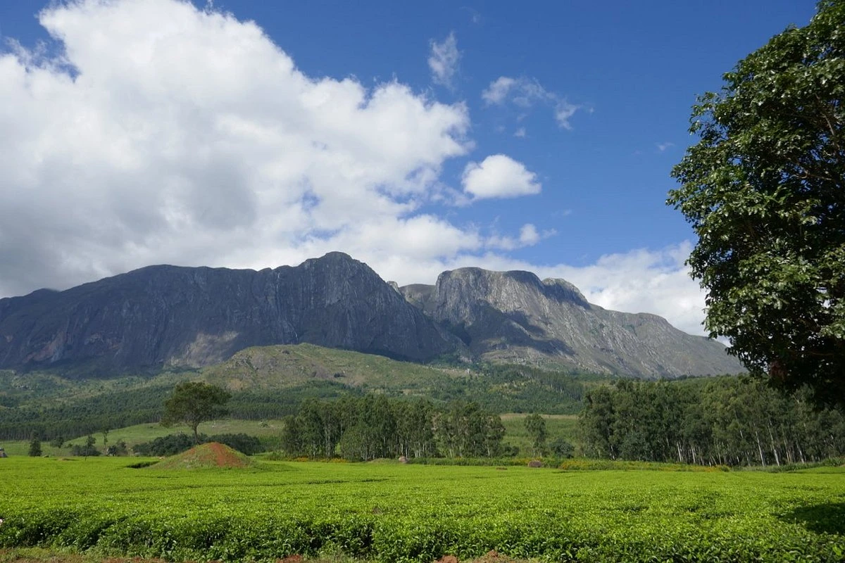 Mulanje Mountain