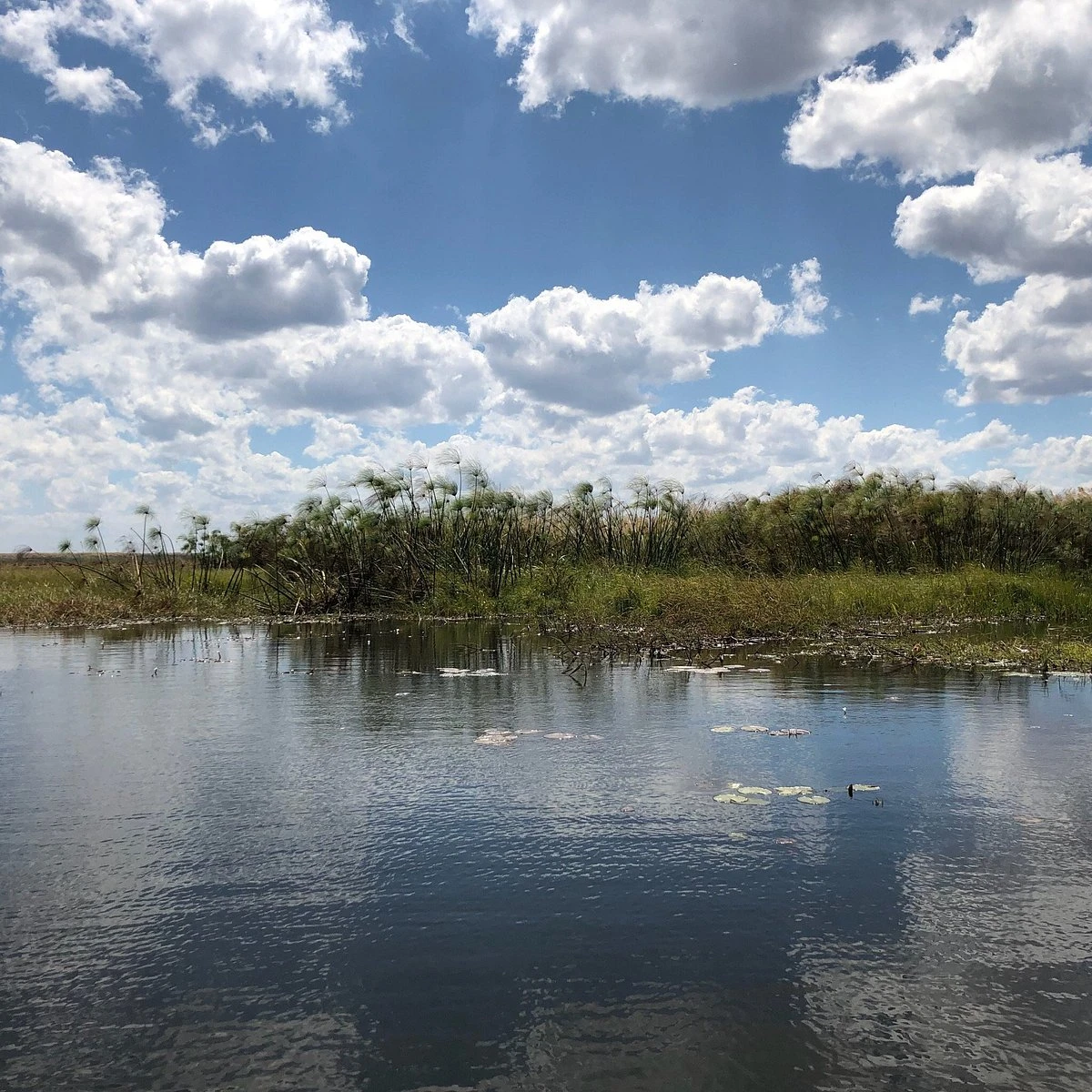 Bangweulu Wetlands