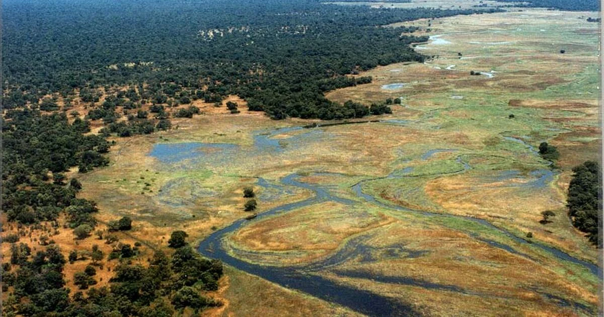 Manovo-Gounda St Floris