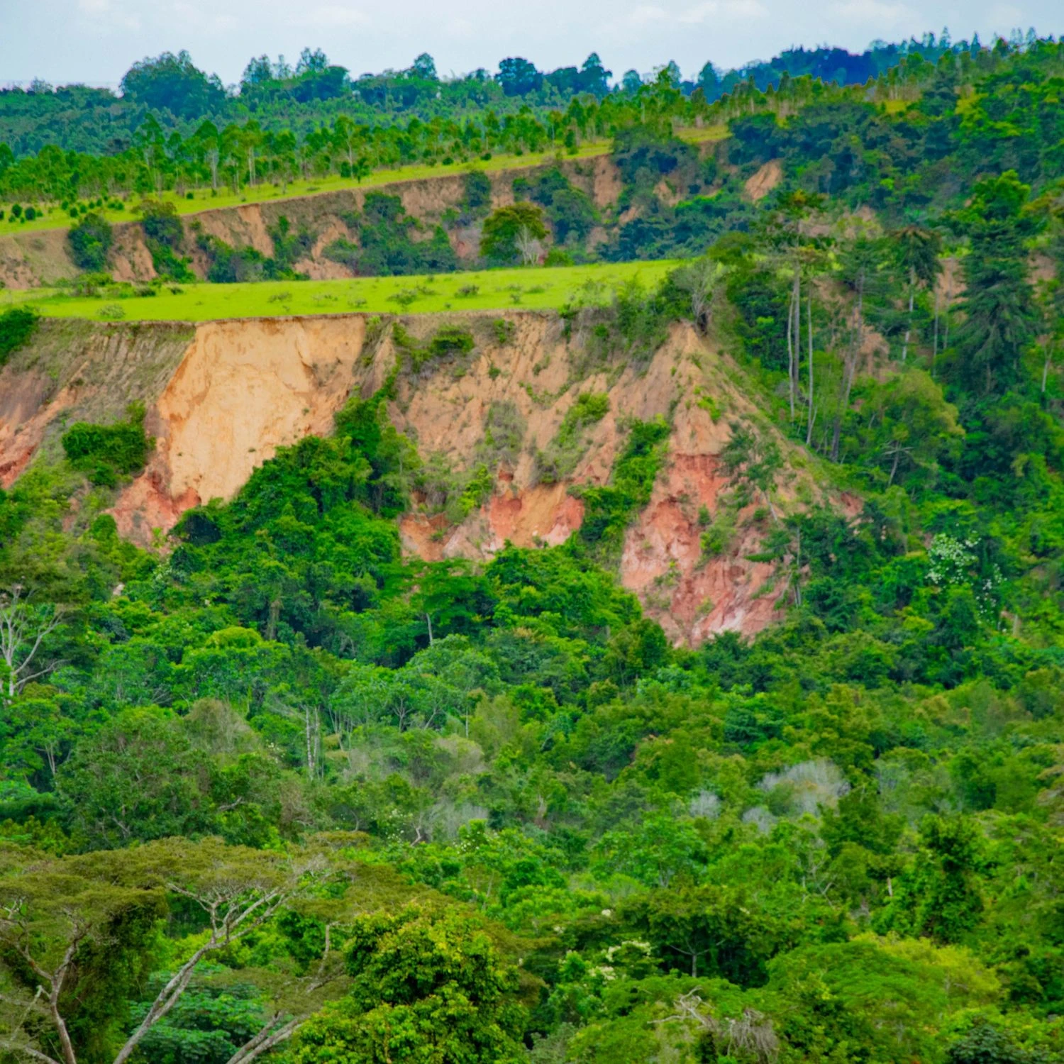 Loango
